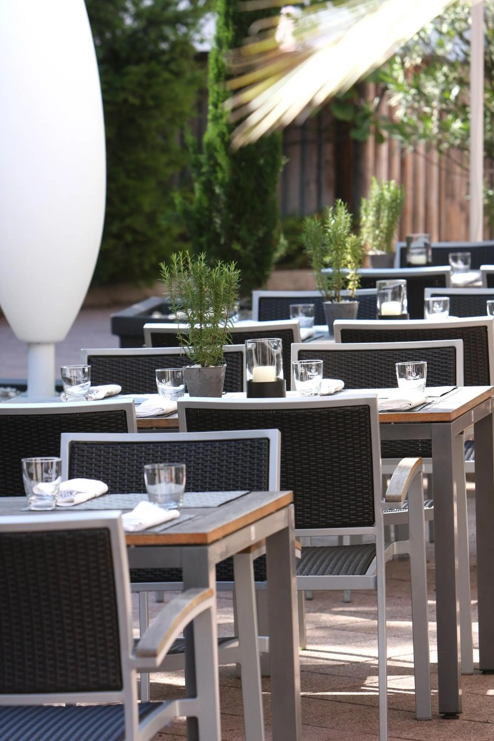 Restaurant/places to eat in Hotel Gloria Superior