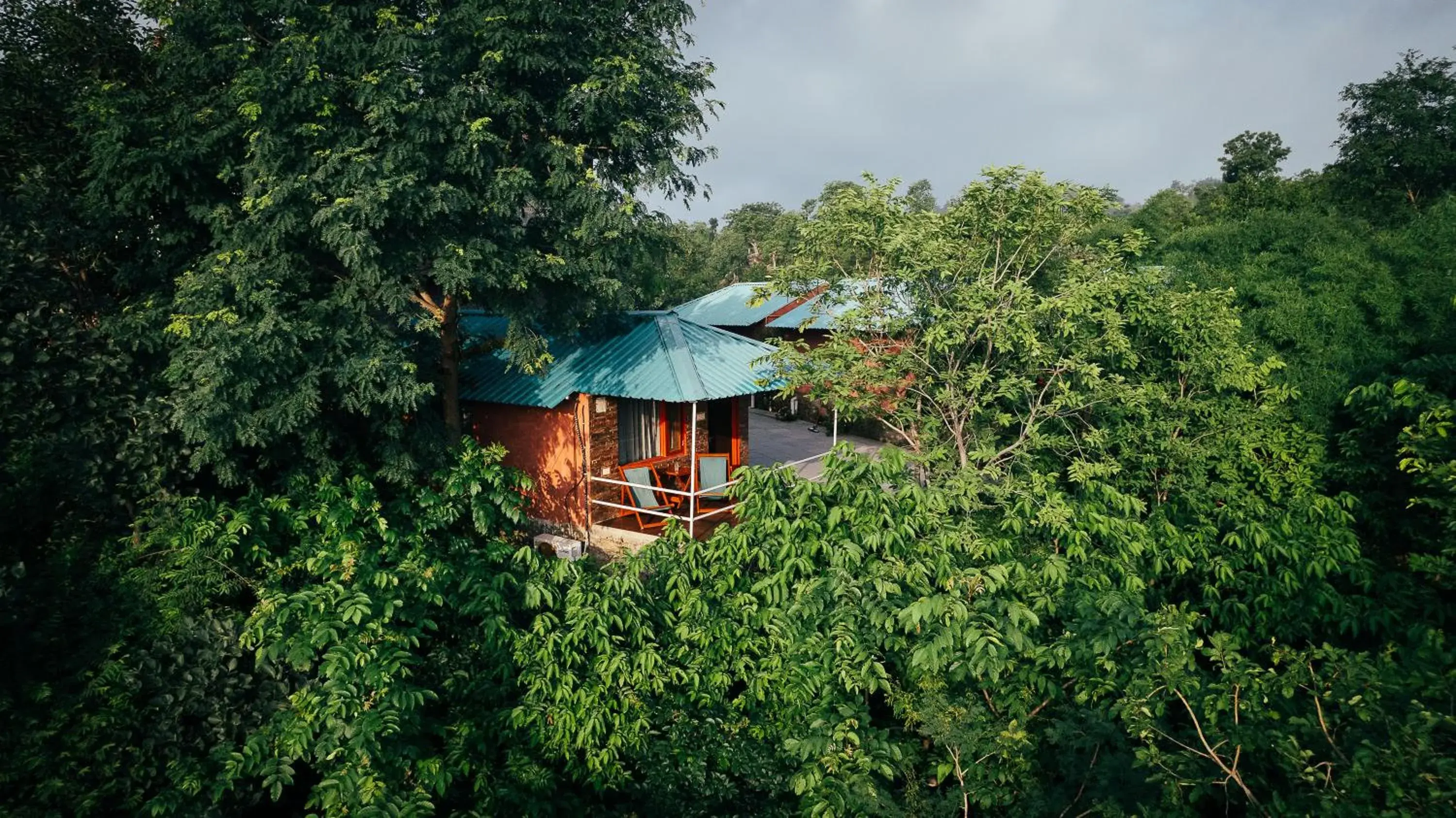 Tent in The Sky Imperial Jungle Camp Resort Tent in The Sky Imperial Jungle Camp Resort