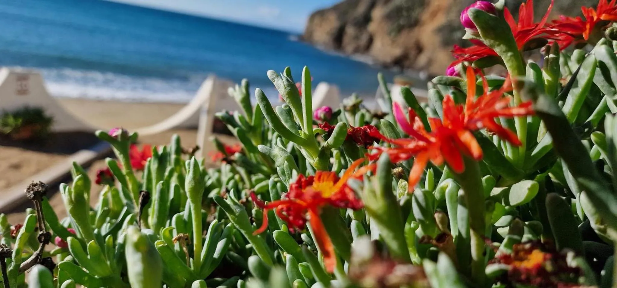 Natural landscape in Mandel 2 Residence by Mandel club