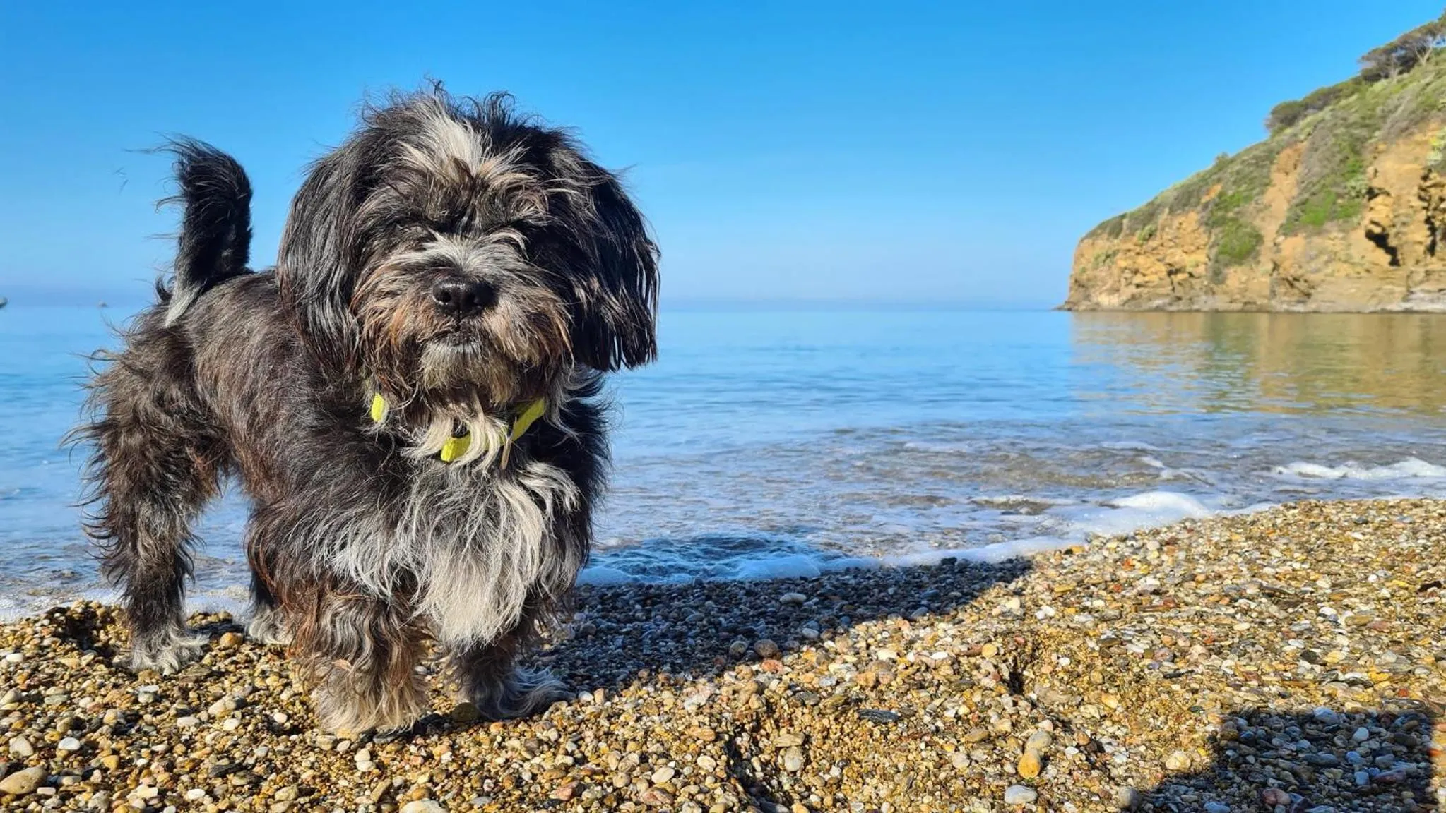 Natural landscape in Mandel 2 Residence by Mandel club