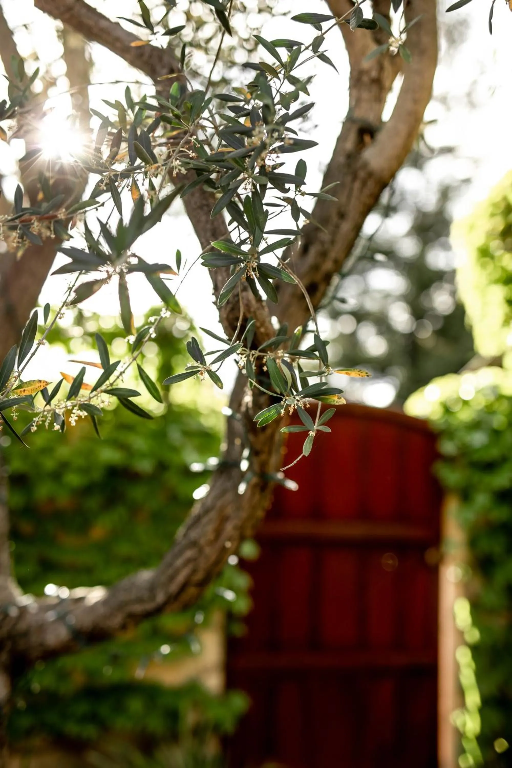 Decorative detail in Seven Branches Venue and Inn
