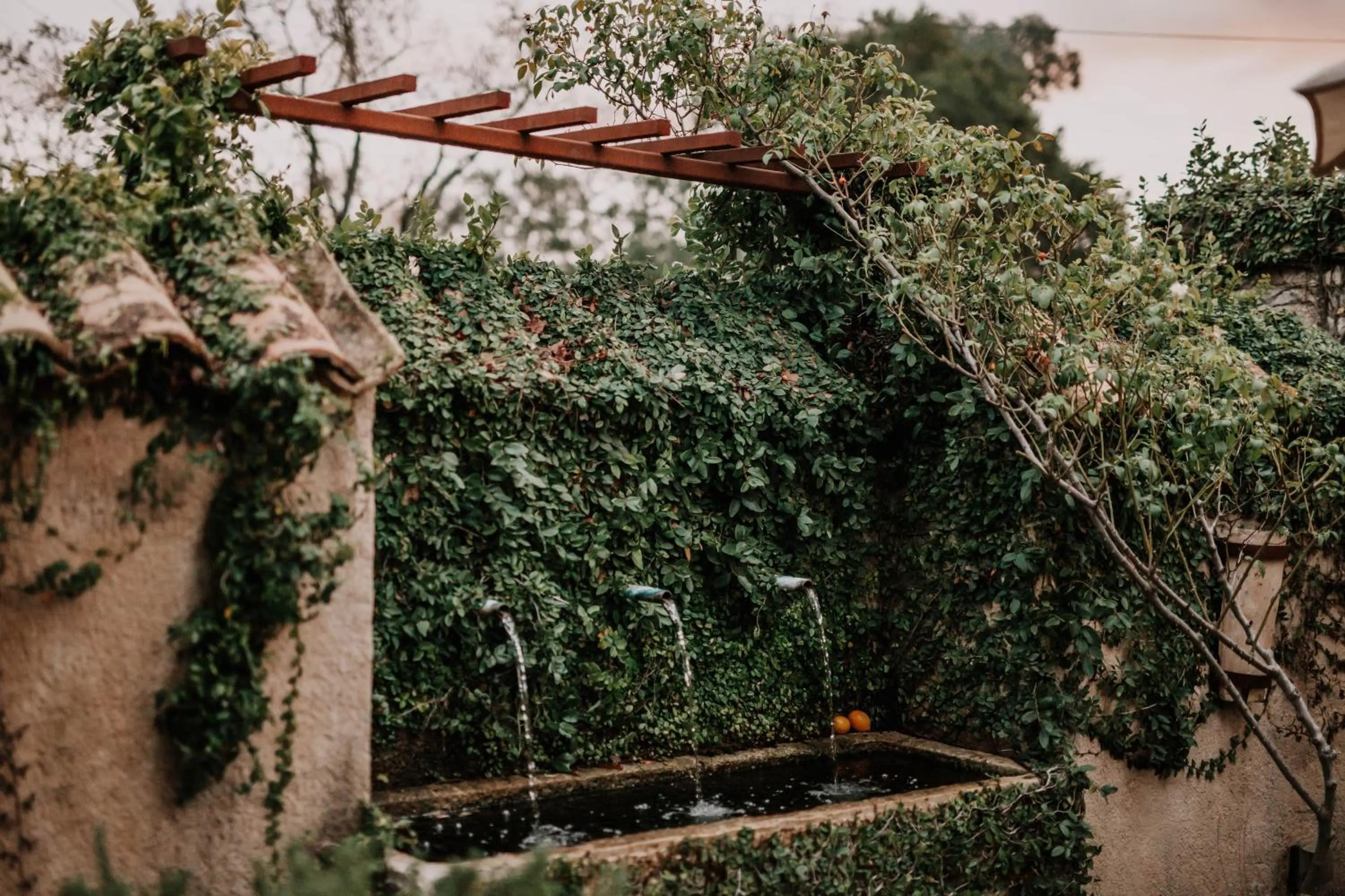 Property building in Seven Branches Venue and Inn