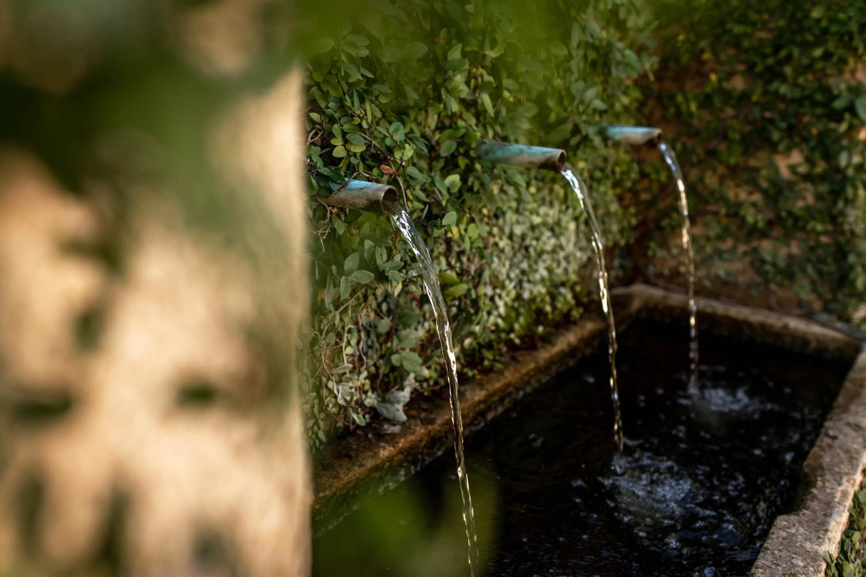 Property building in Seven Branches Venue and Inn