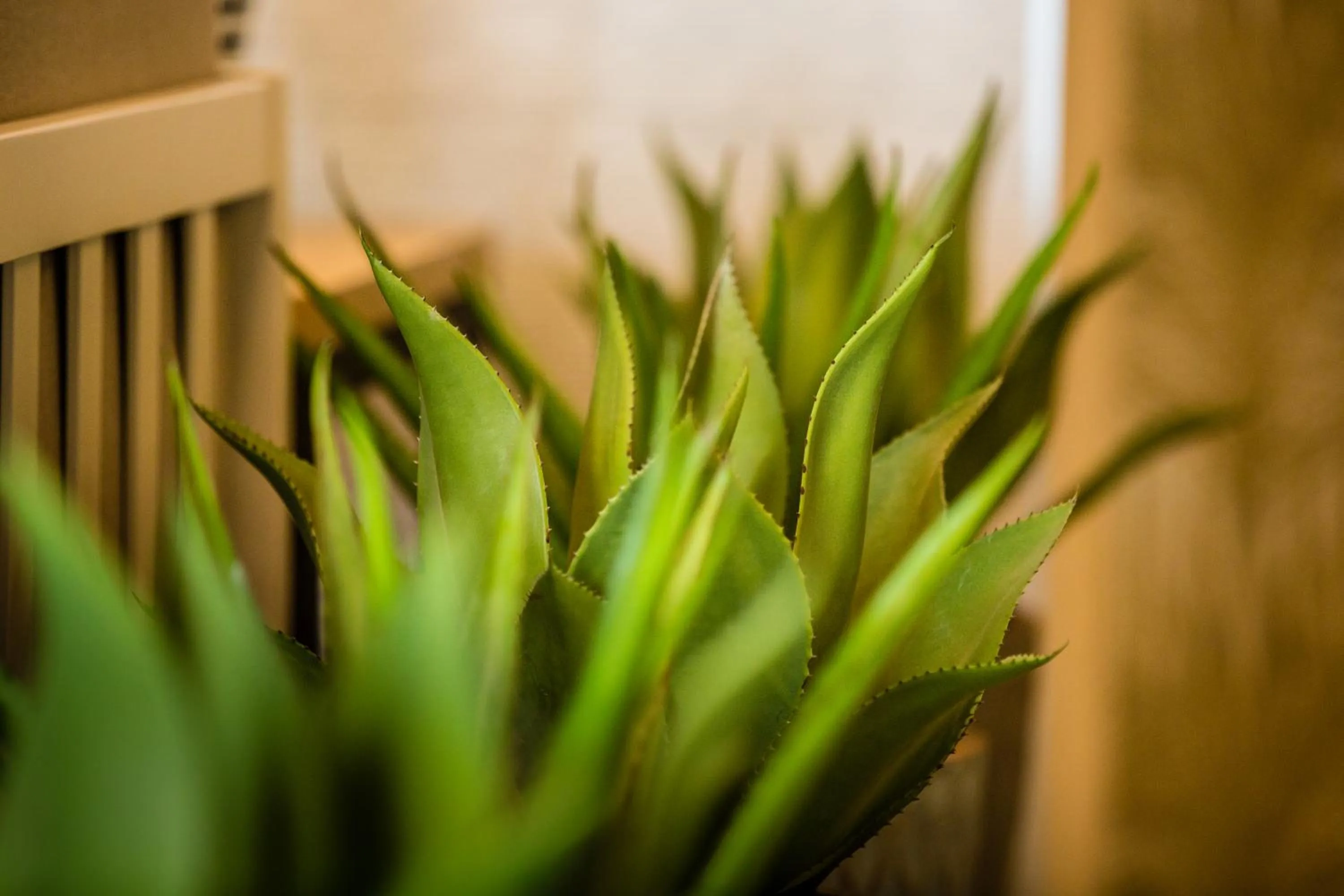 Lobby or reception in Amadores Beach Apartments