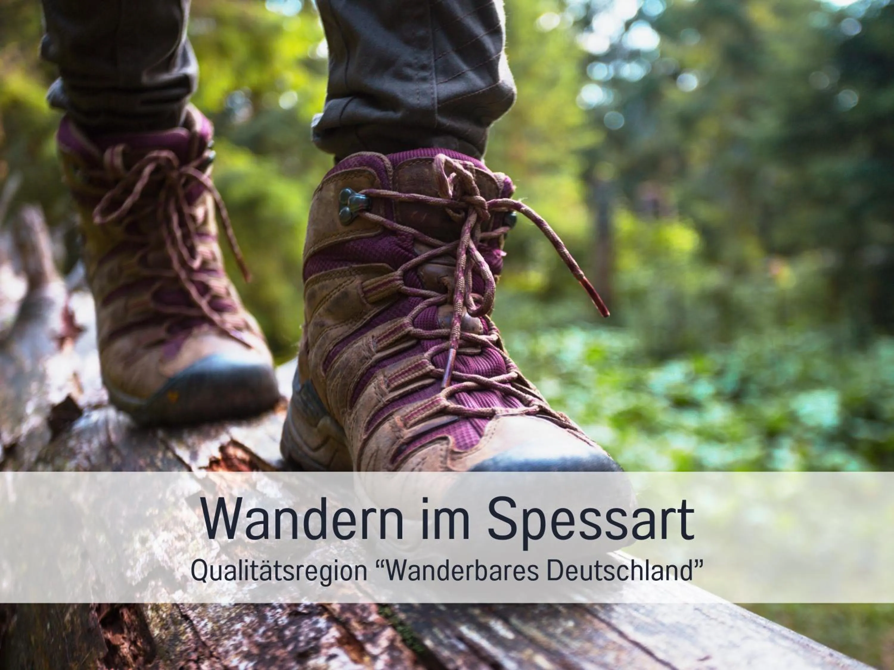 Natural landscape in Hotel Lamm