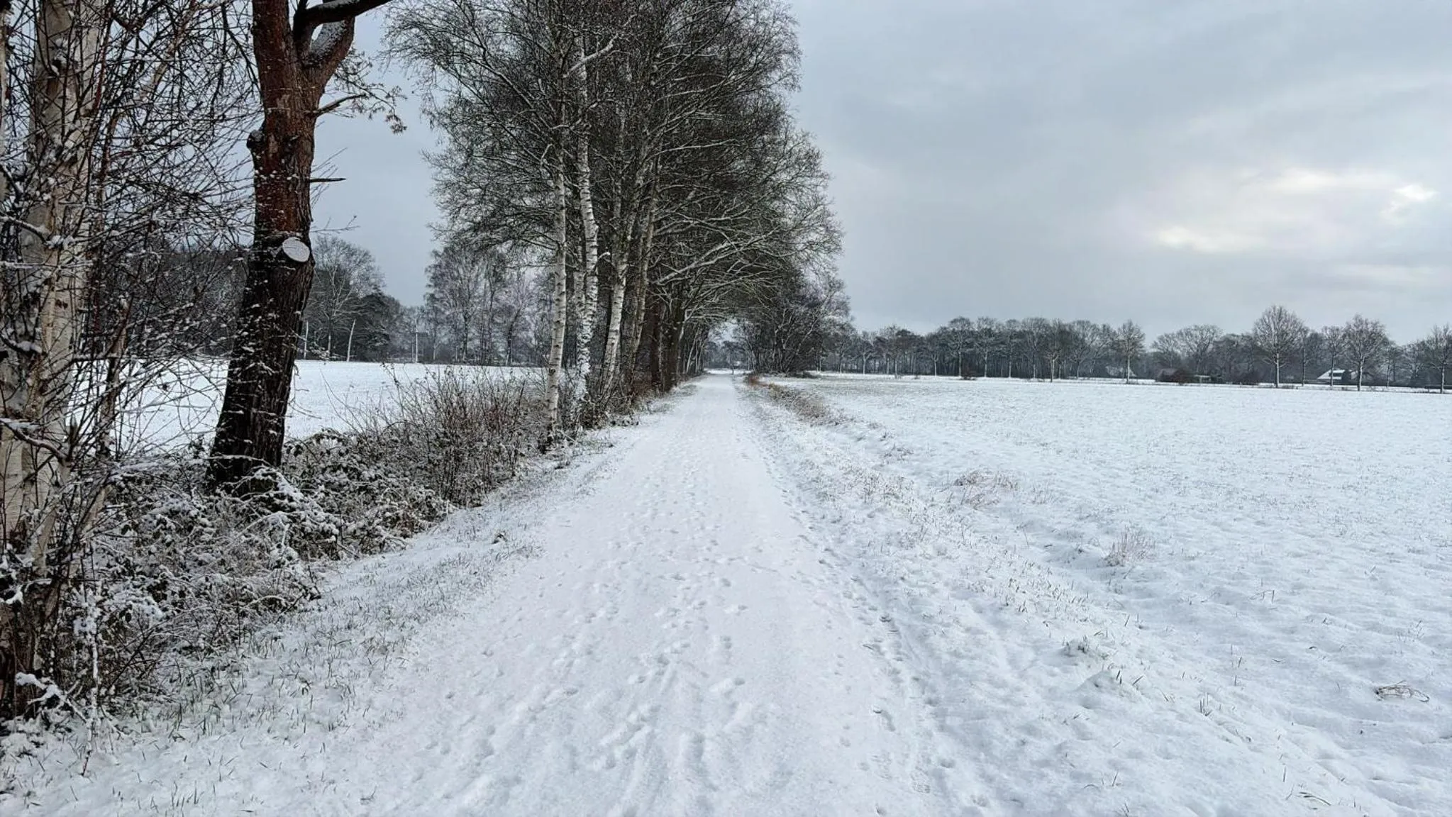 Natural landscape in B&B 't Mjeels Pierke