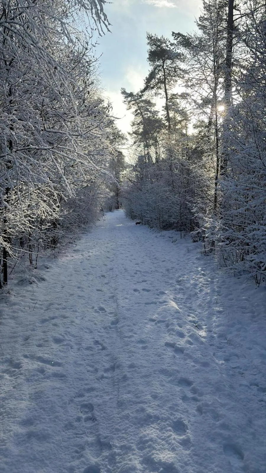 Natural landscape in B&B 't Mjeels Pierke