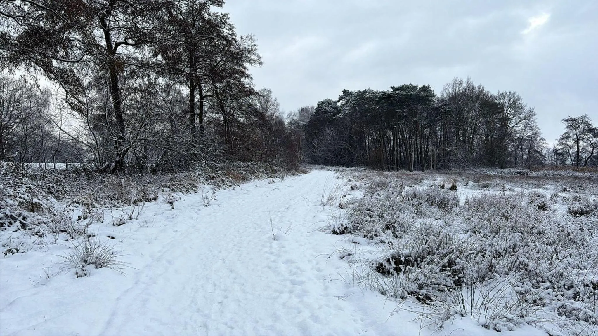 Natural landscape in B&B 't Mjeels Pierke
