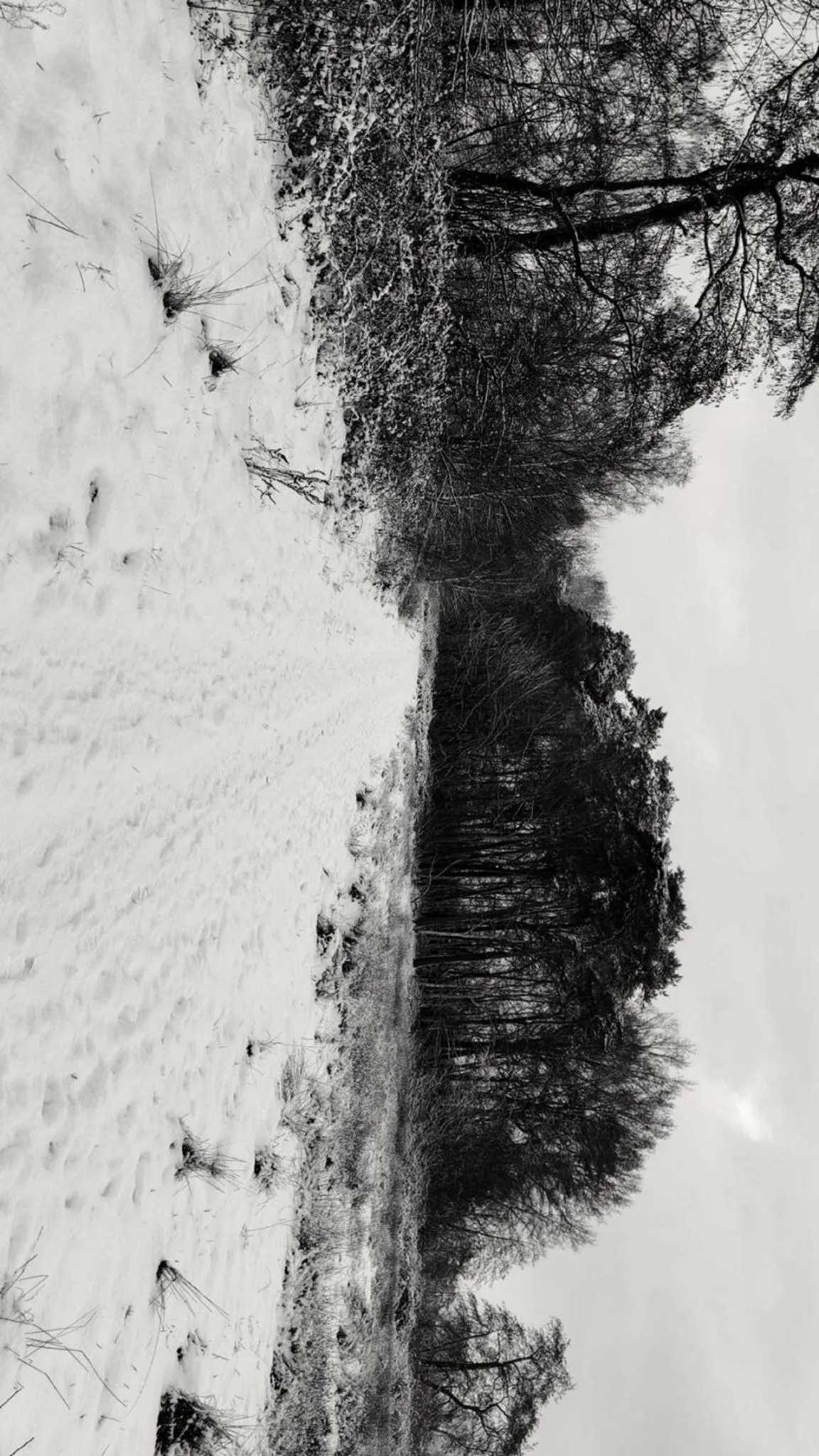 Natural landscape in B&B 't Mjeels Pierke