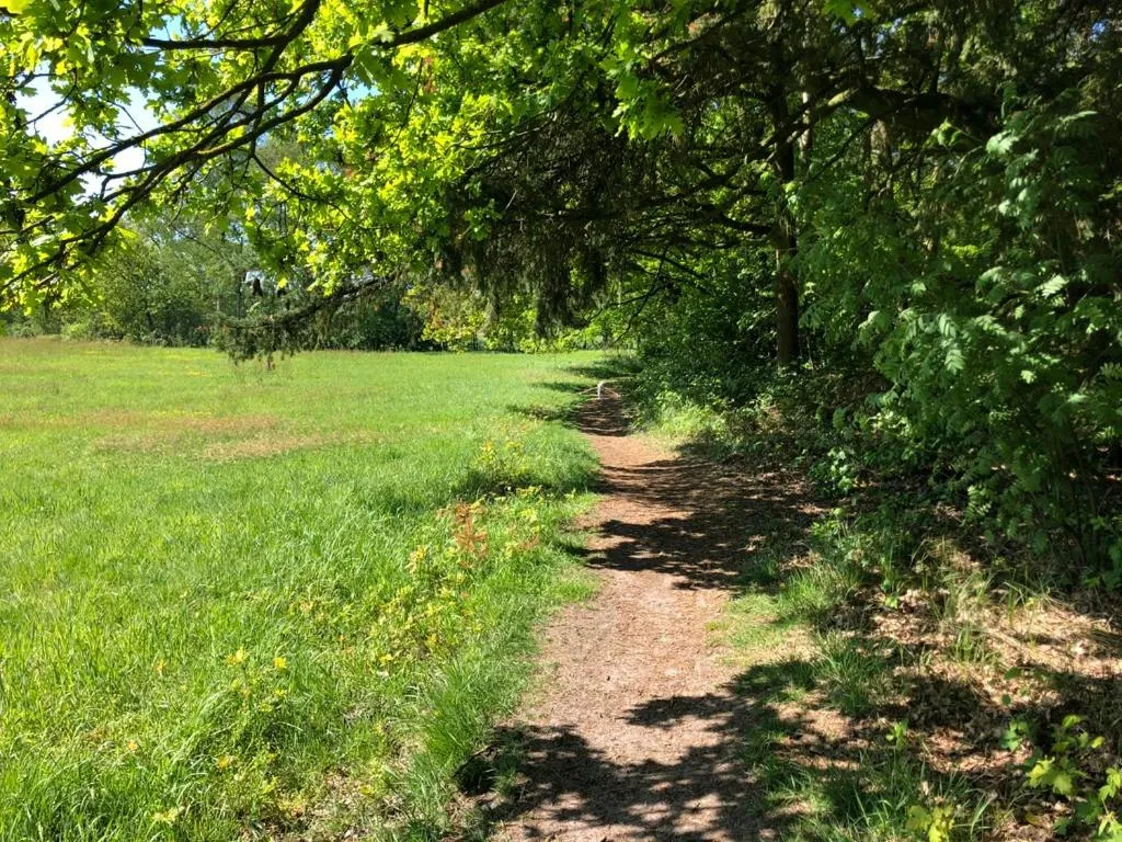 Natural landscape in B&B 't Mjeels Pierke
