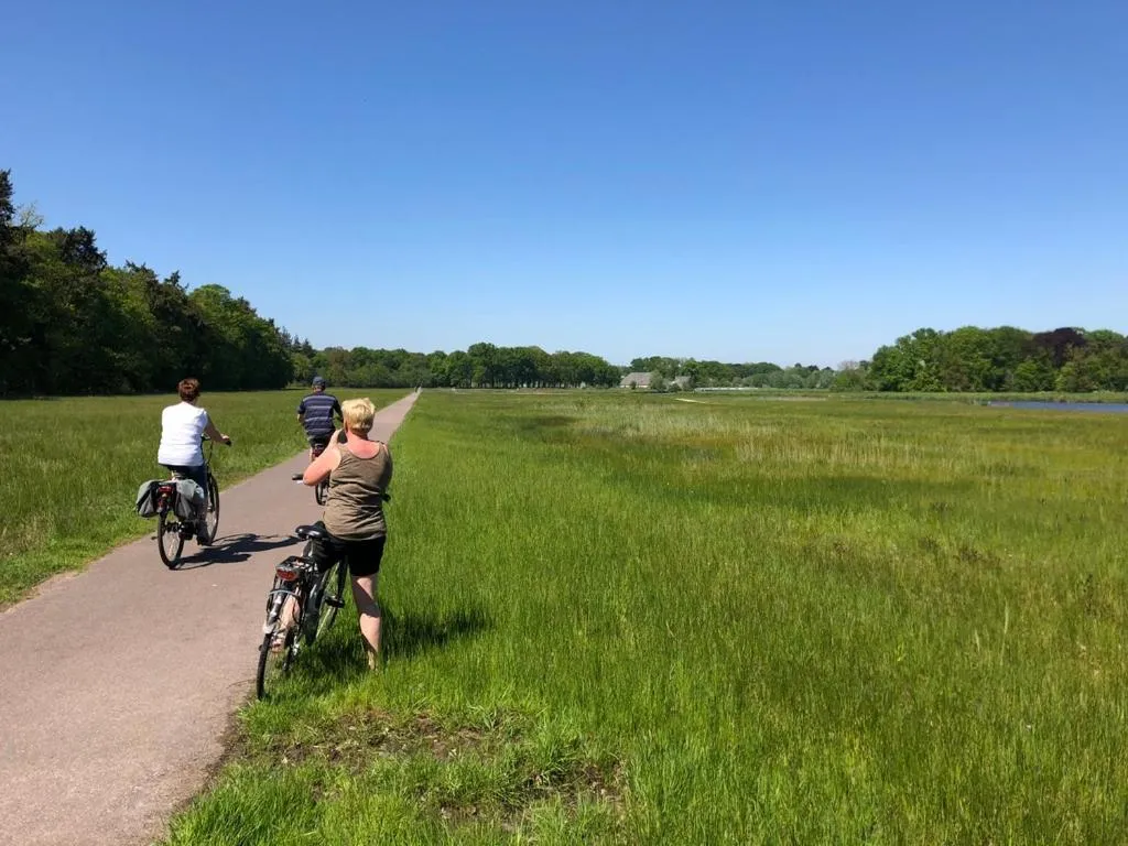 Natural landscape in B&B 't Mjeels Pierke