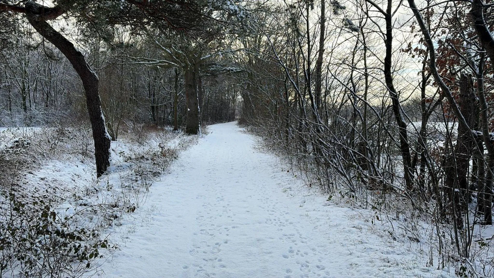 Natural landscape in B&B 't Mjeels Pierke