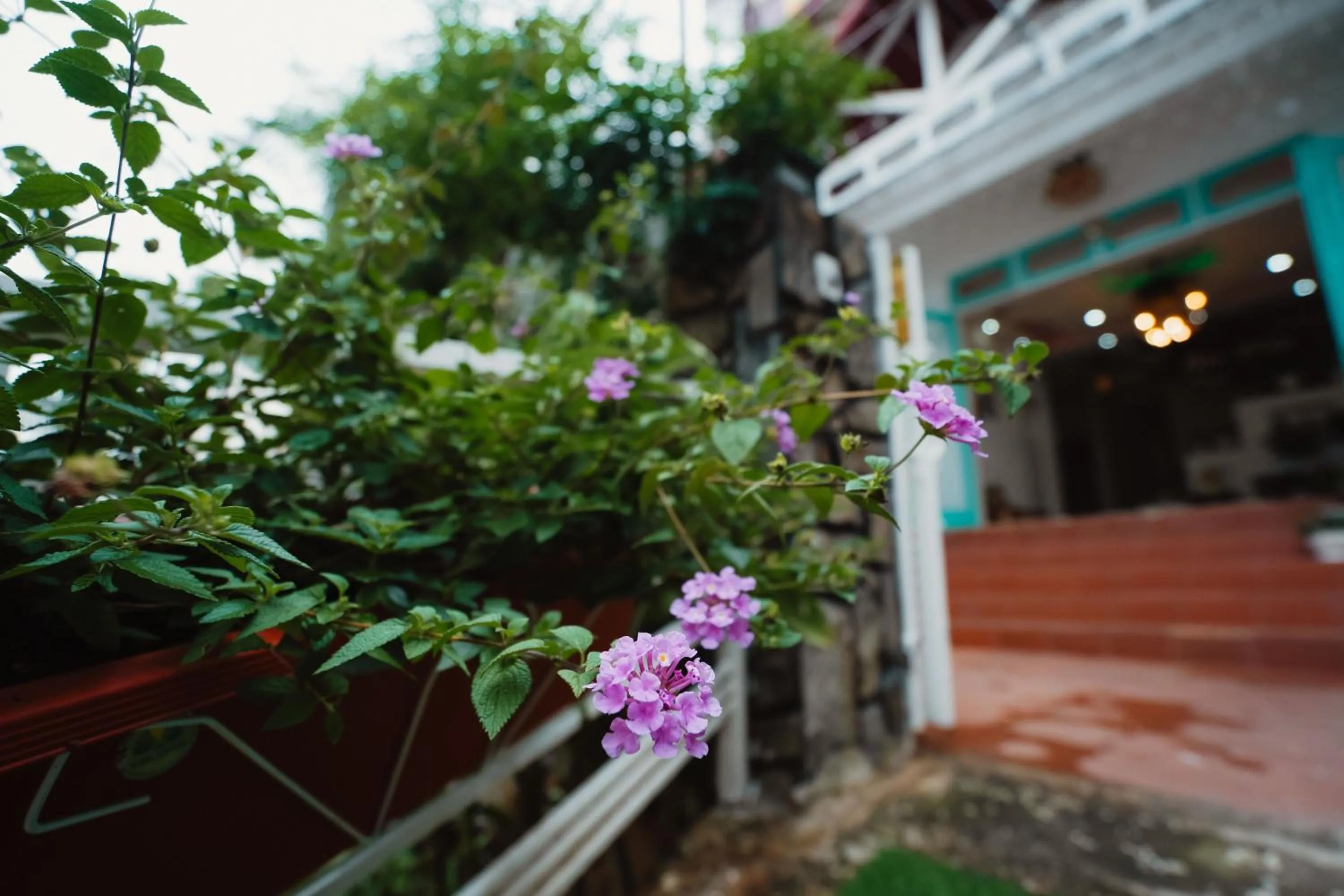 Garden view in Gia Hân Hotel