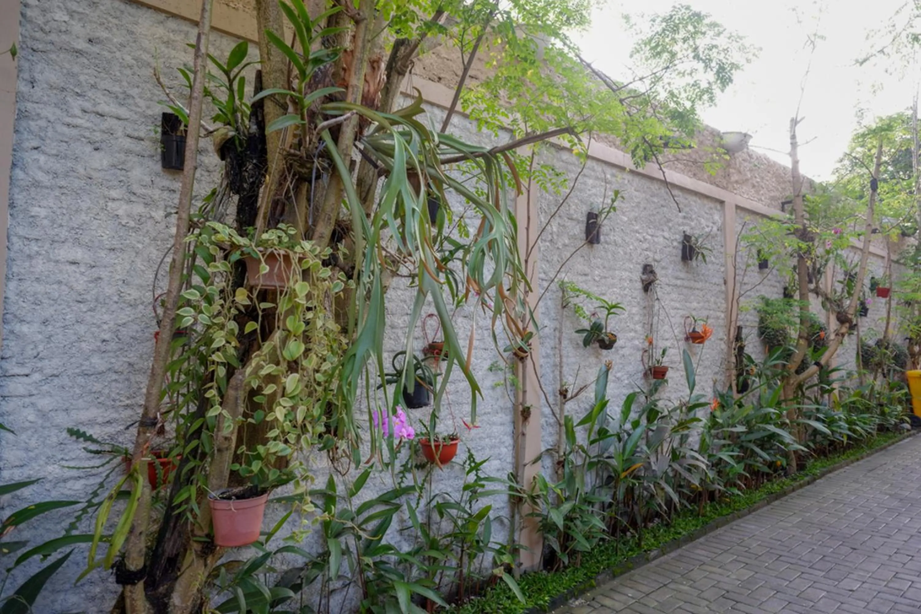 RedDoorz Syariah at Omah Sawah