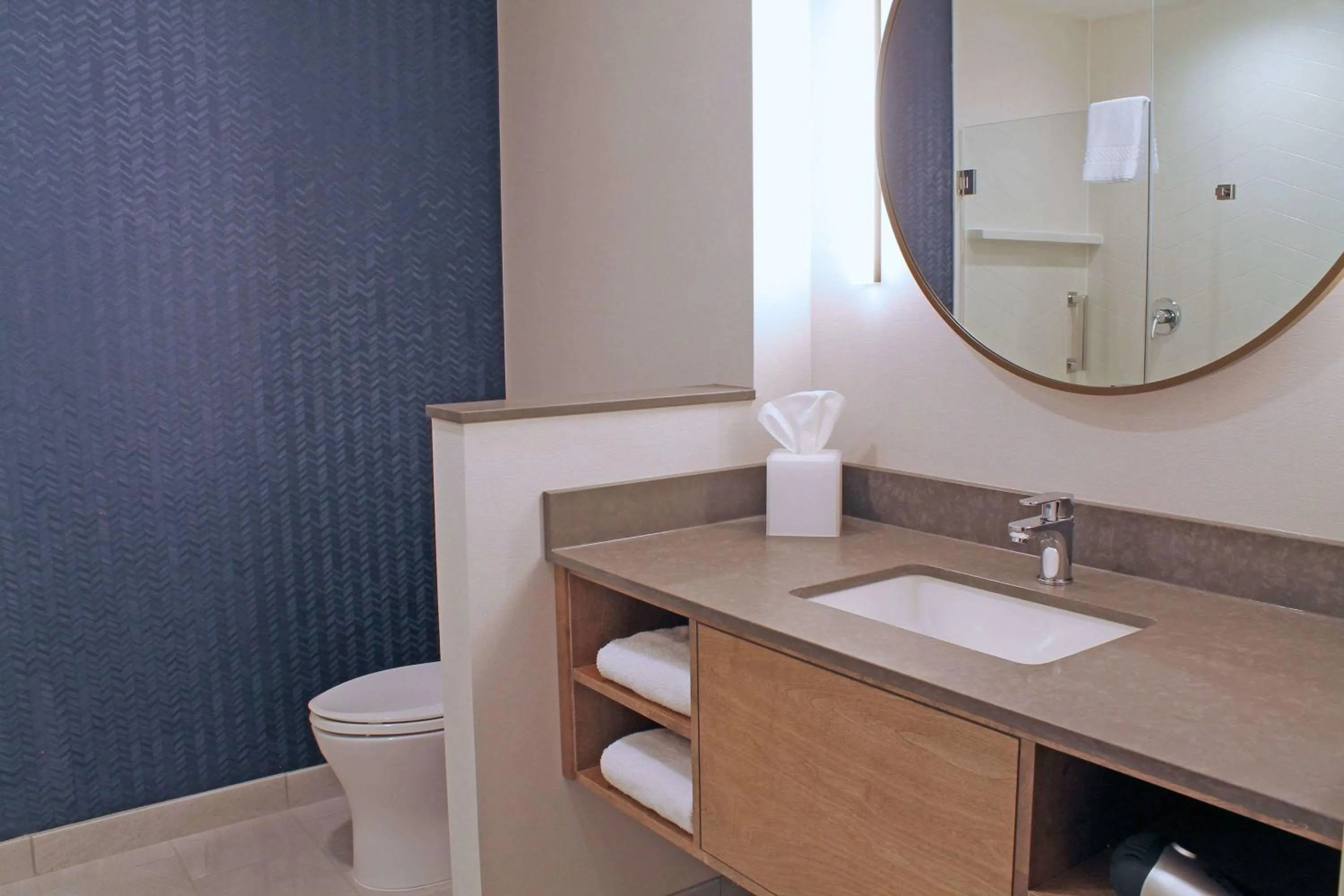 Bathroom in Fairfield by Marriott Inn & Suites St Louis South