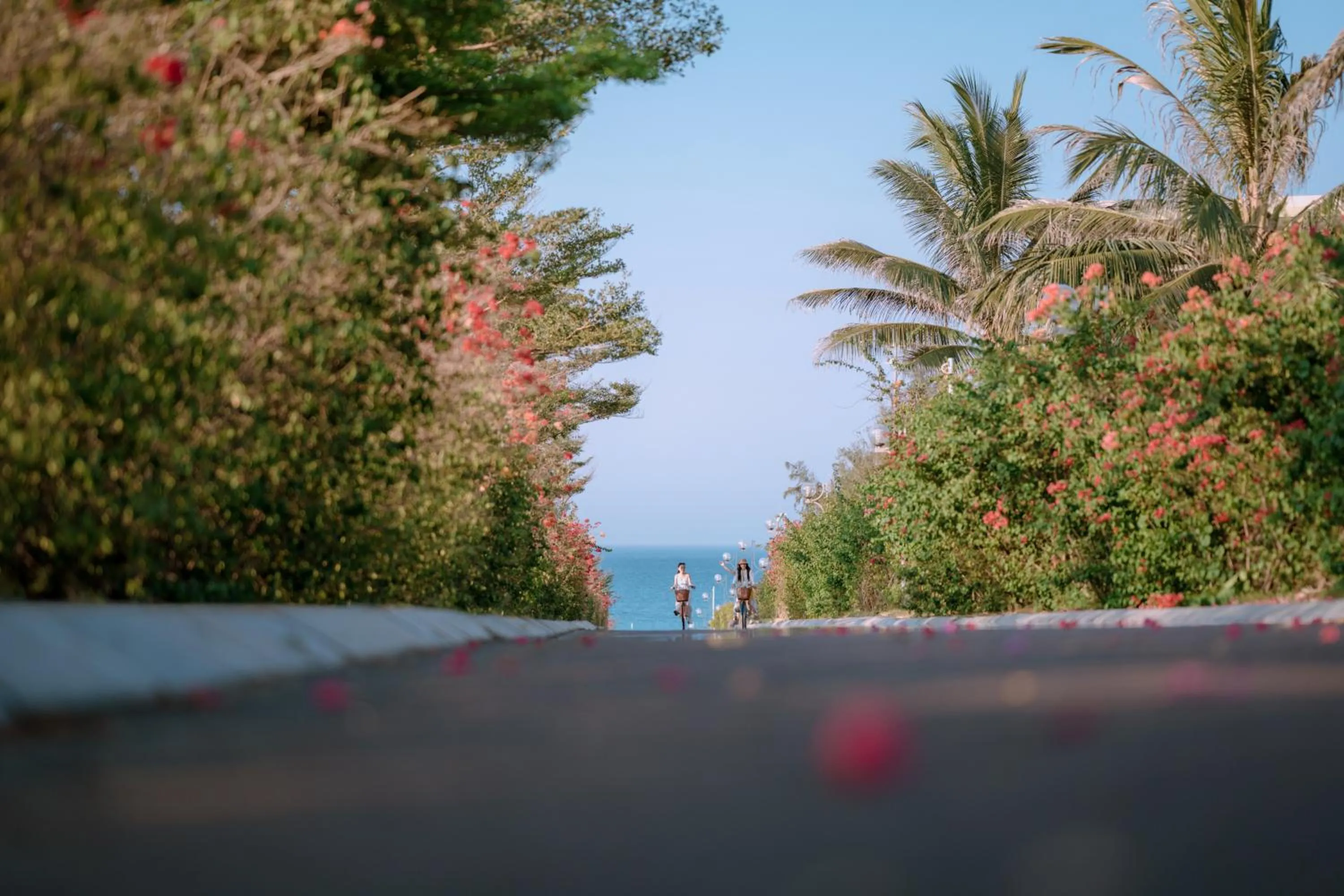 Activities in FLC Grand Hotel Quy Nhon