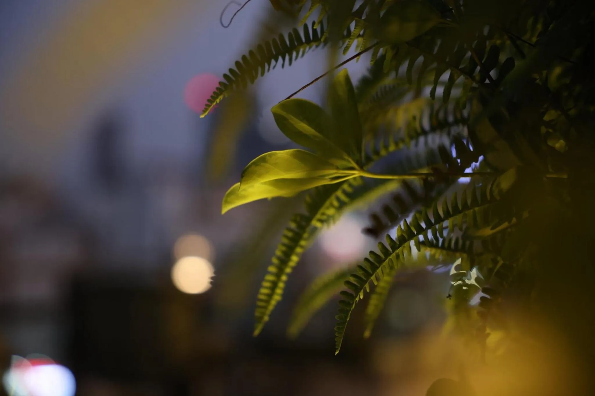 Lounge or bar in EVEN Hotel Shenzhen Nanshan by IHG