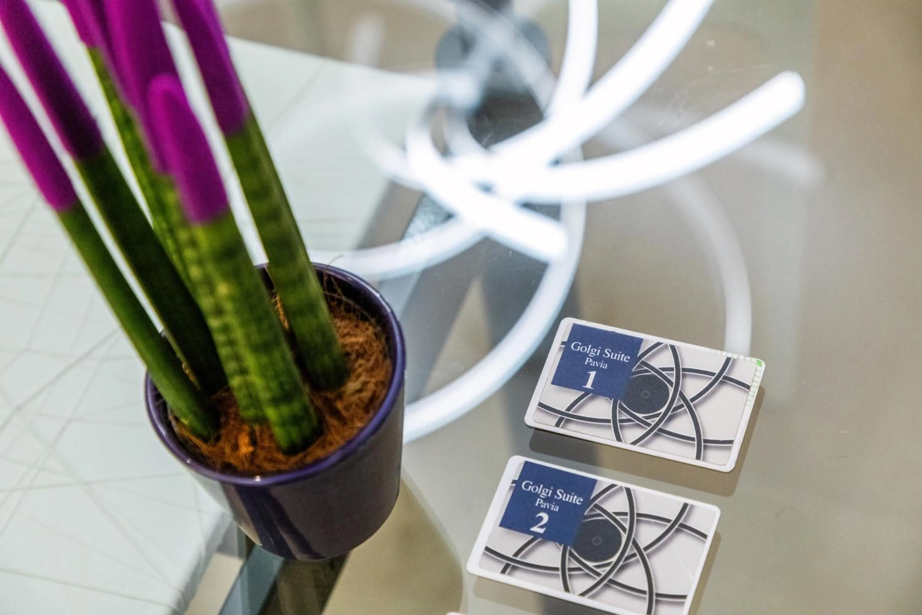 Lobby or reception in Golgi Suite