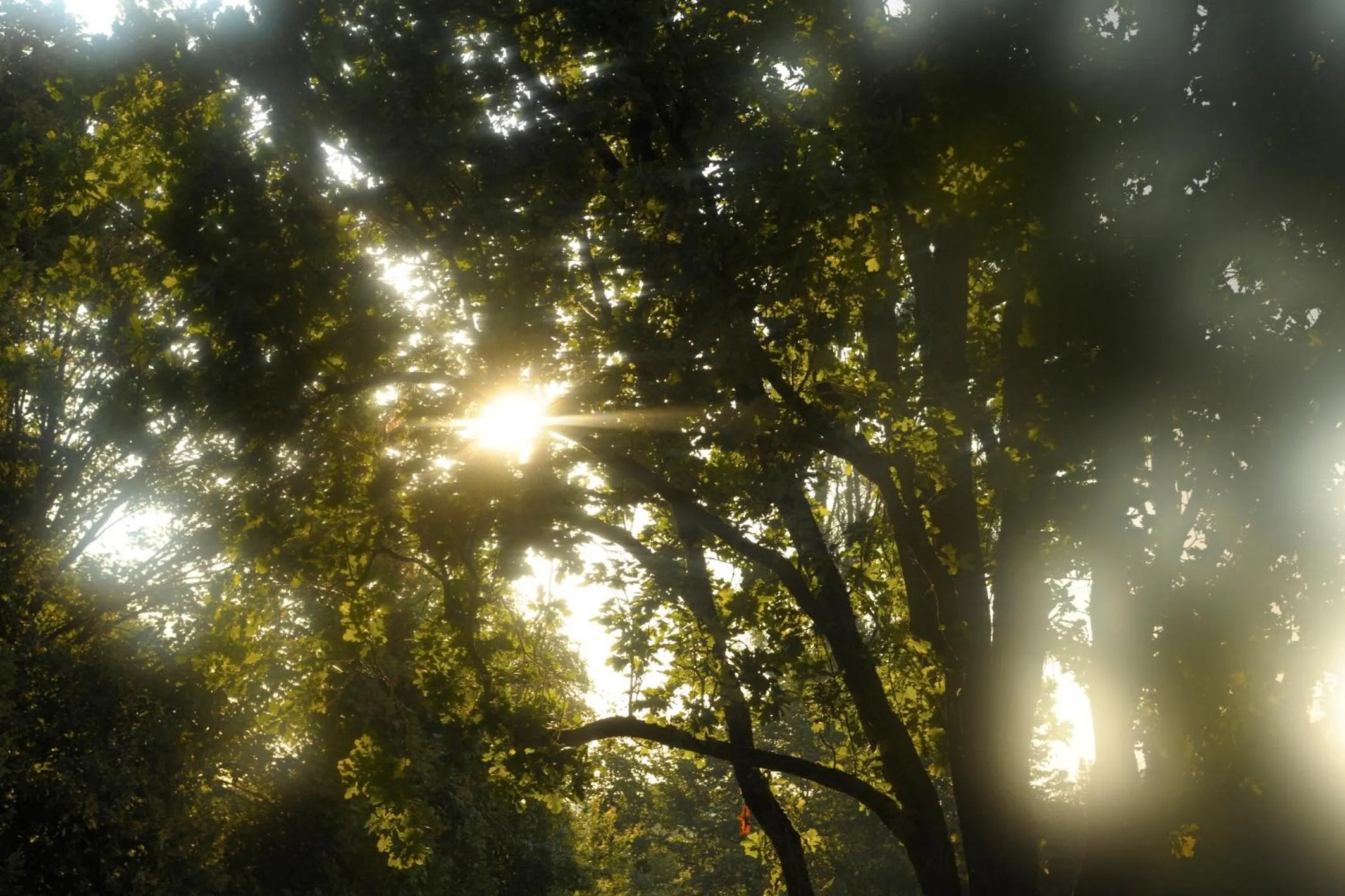 Schlosshotel Burg Schlitz