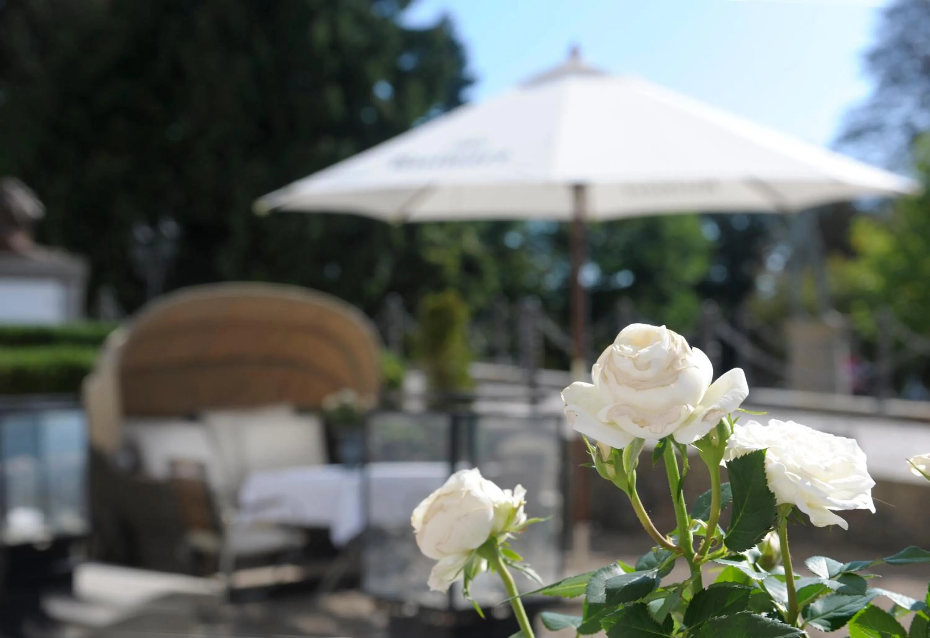 Schlosshotel Burg Schlitz