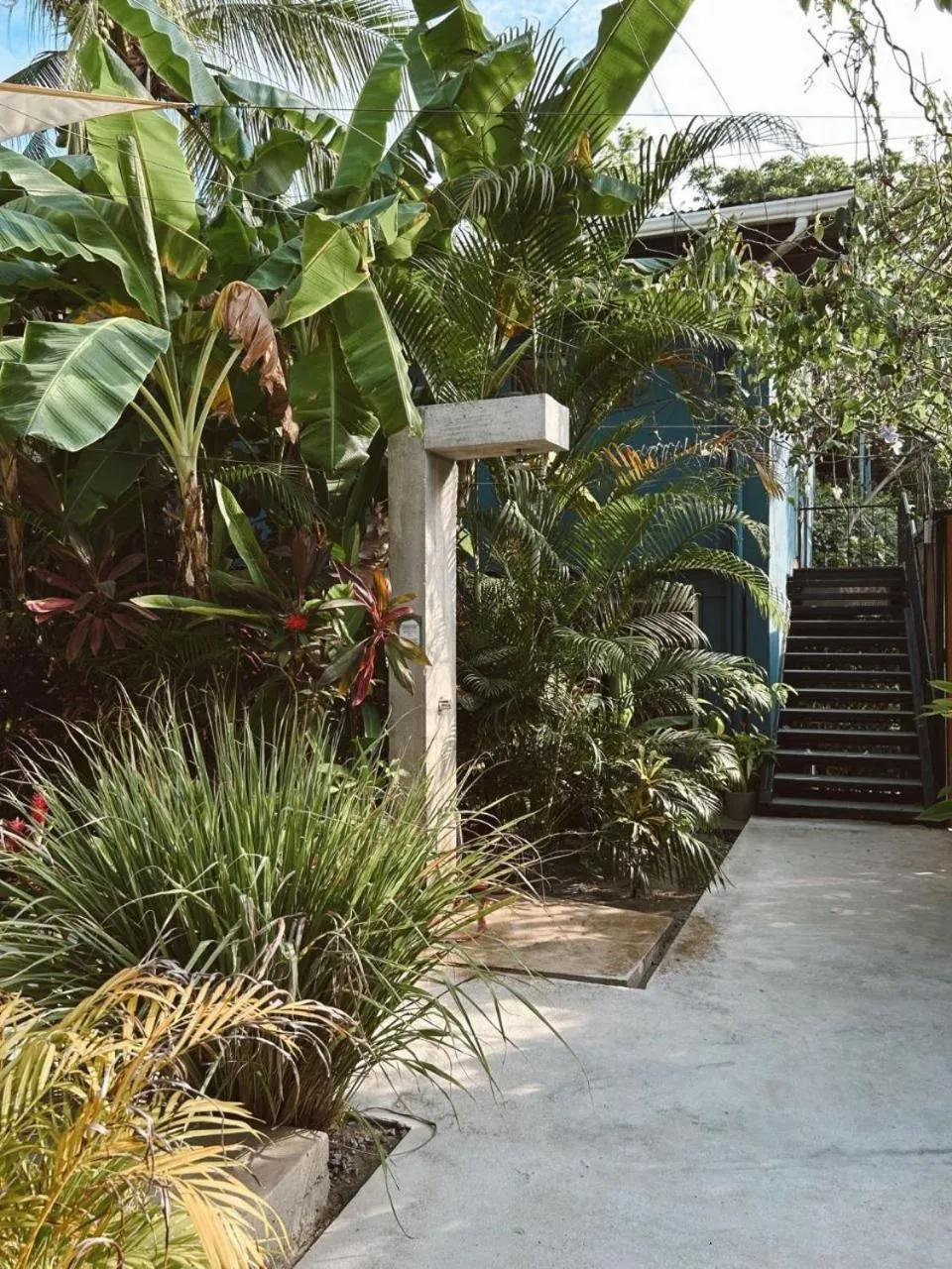 Garden in Point Break Santa Teresa