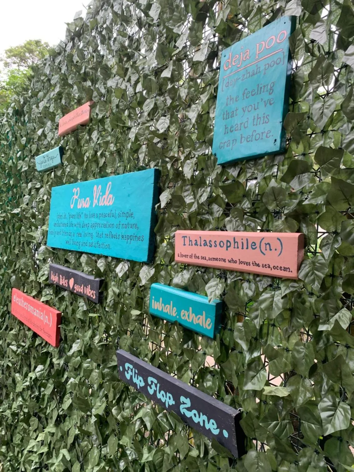 Garden in Point Break Santa Teresa