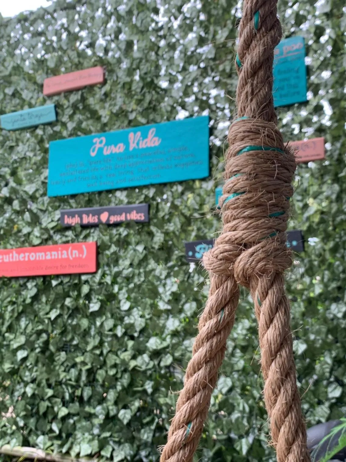 Garden in Point Break Santa Teresa