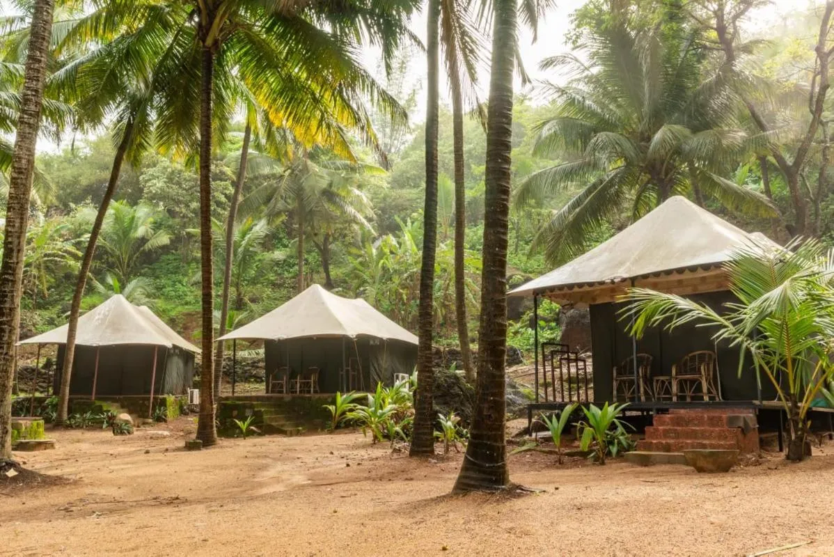 Property building in Soneca Cola