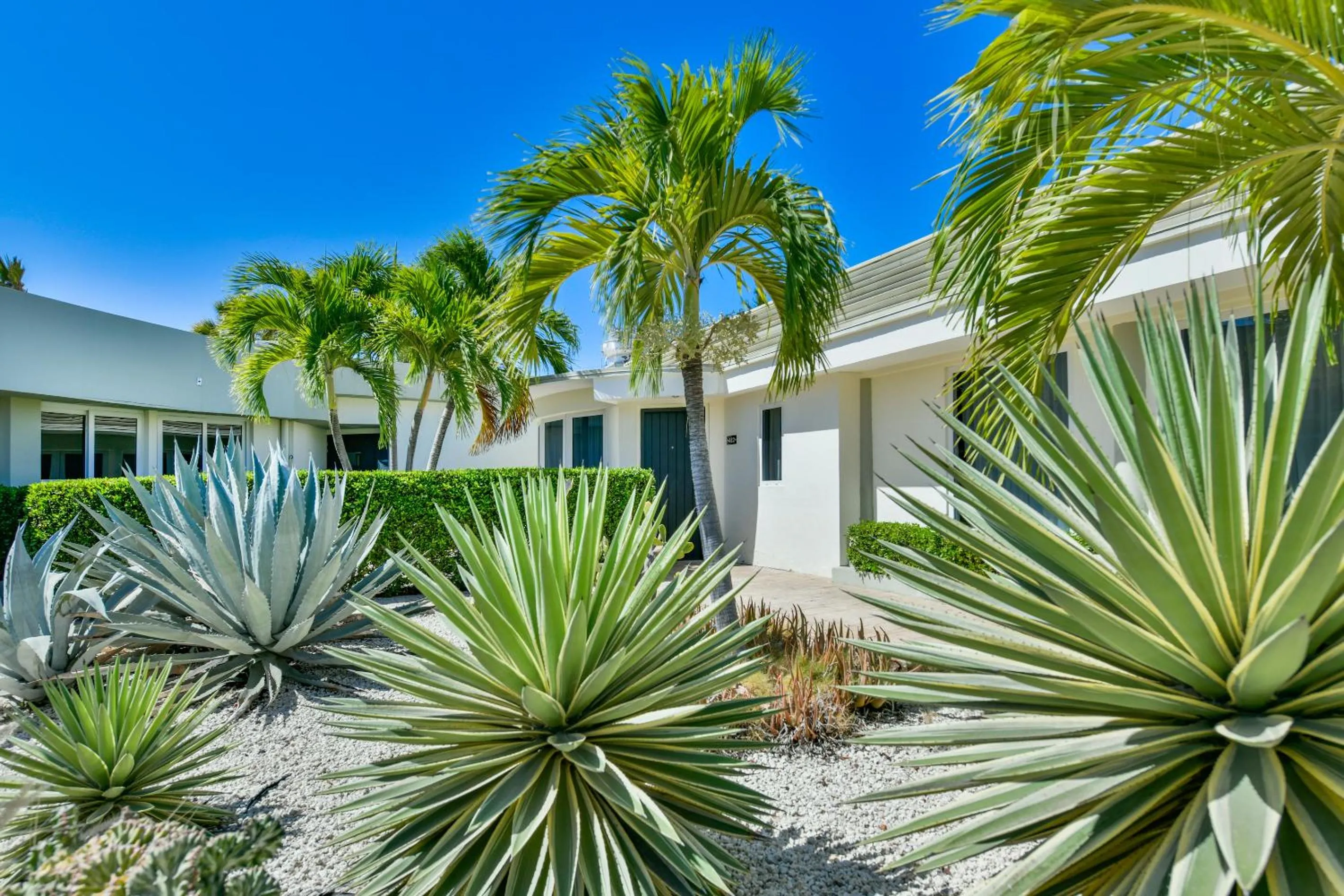 Garden in Talk of the Town Beach Hotel & Beach Club by GH Hoteles