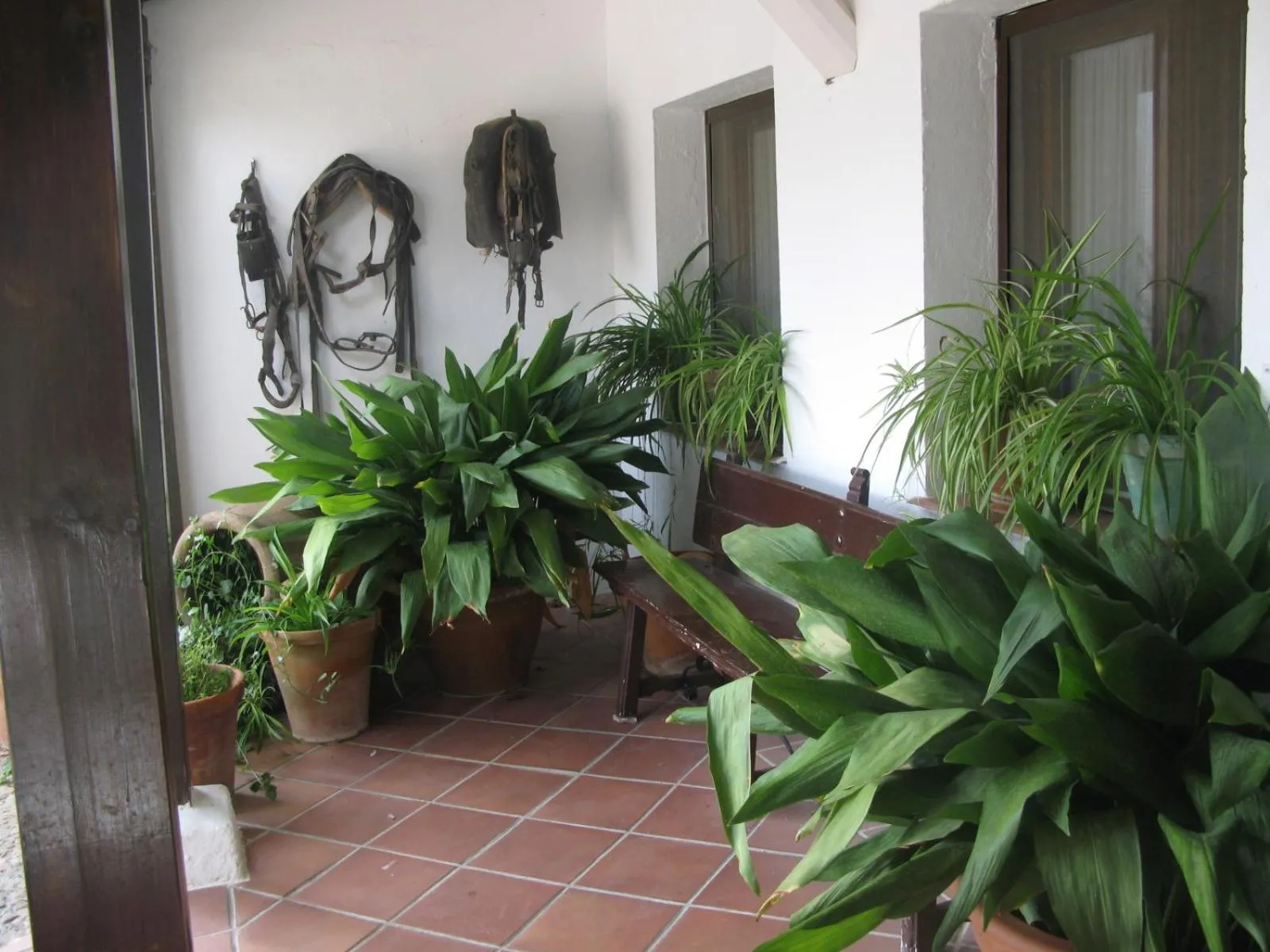 Facade/entrance in Hotel El Puerto