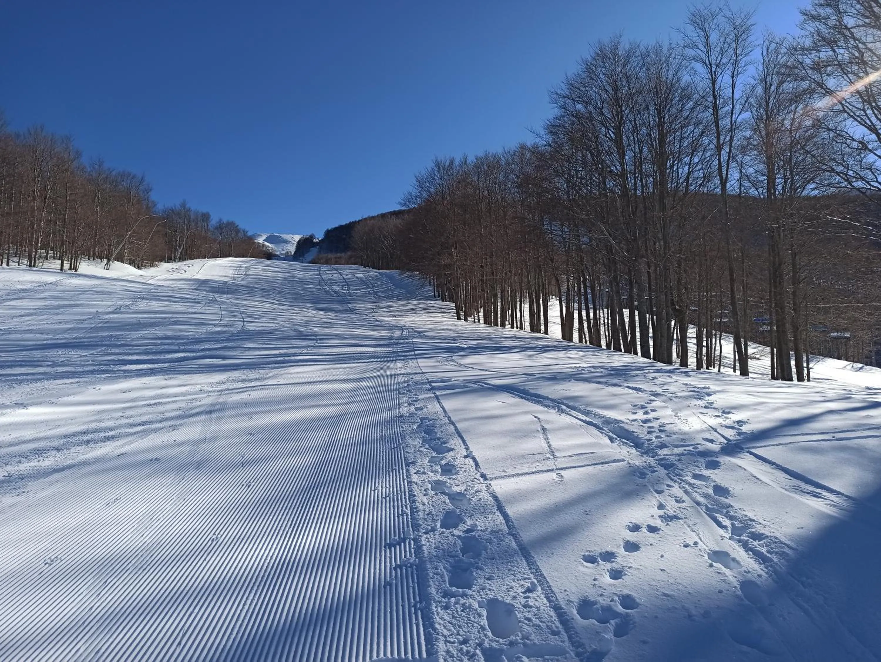 Ski School in Residence le Polle