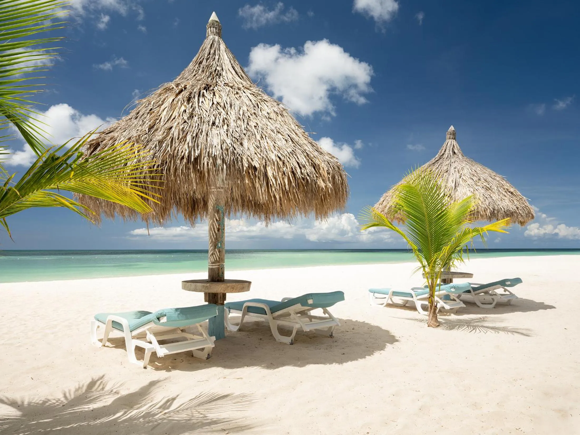 Beach in Boardwalk Boutique Hotel Aruba - Adults Only
