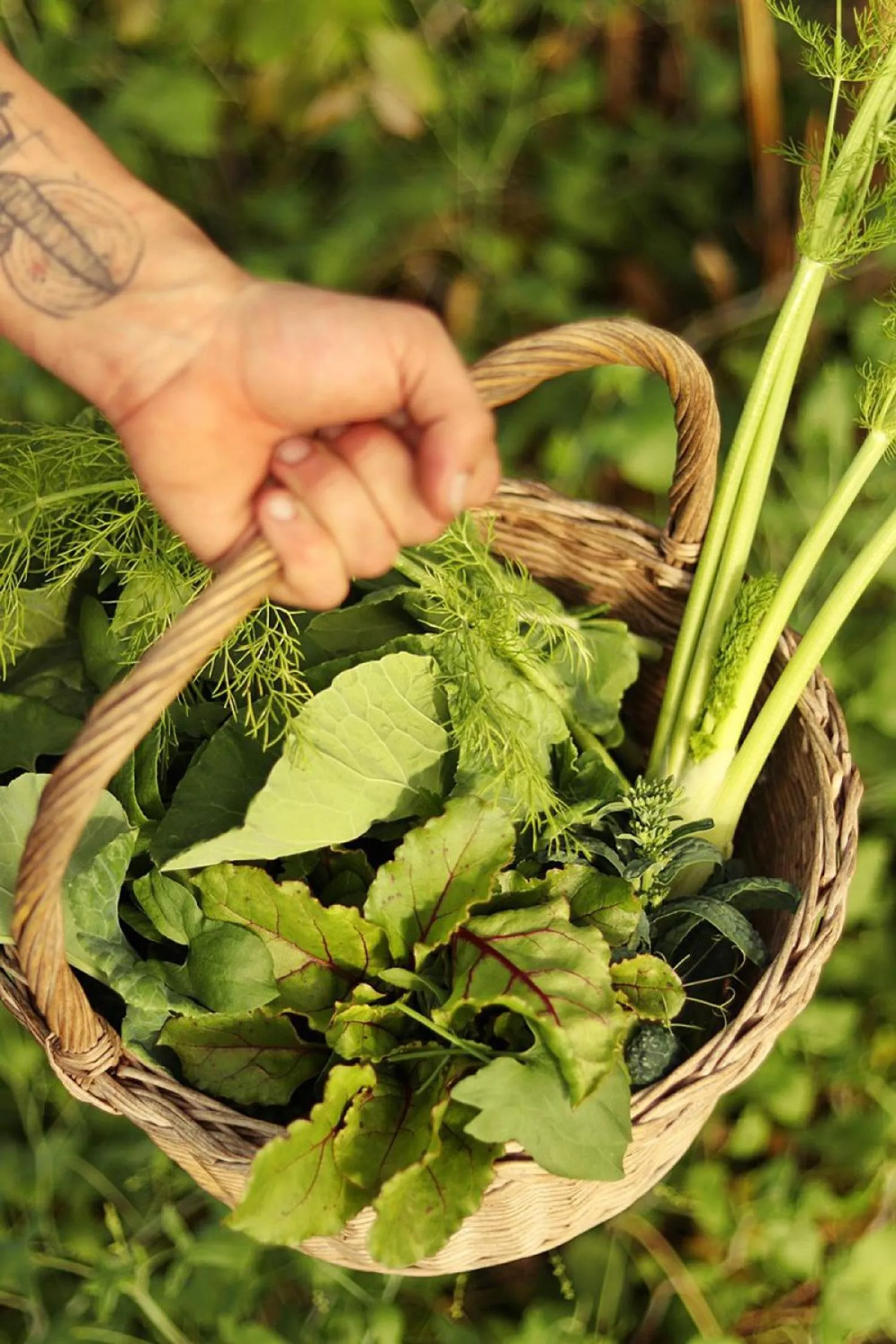 Activities in Areias do Seixo Villas