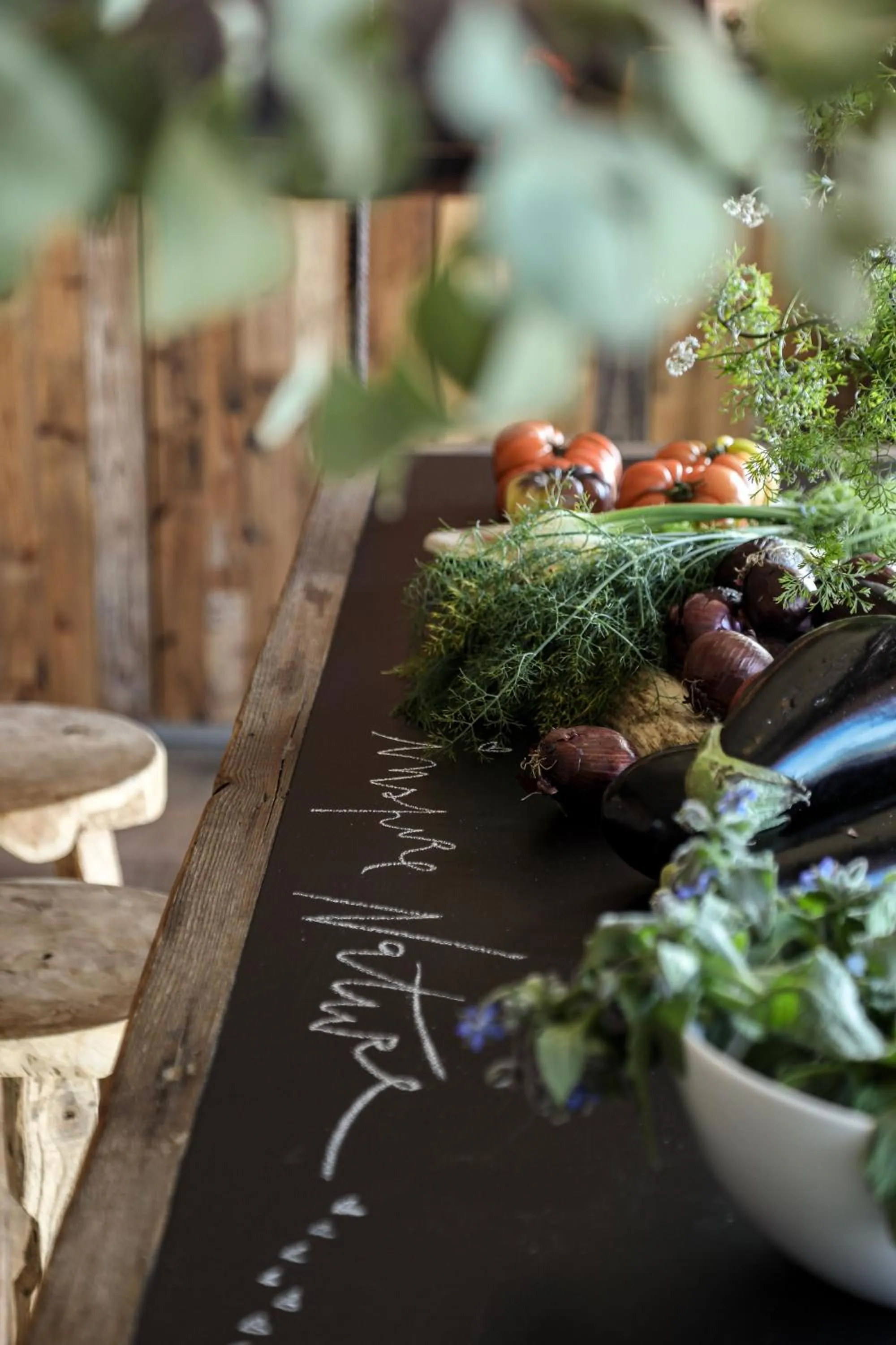 Areias do Seixo Villas