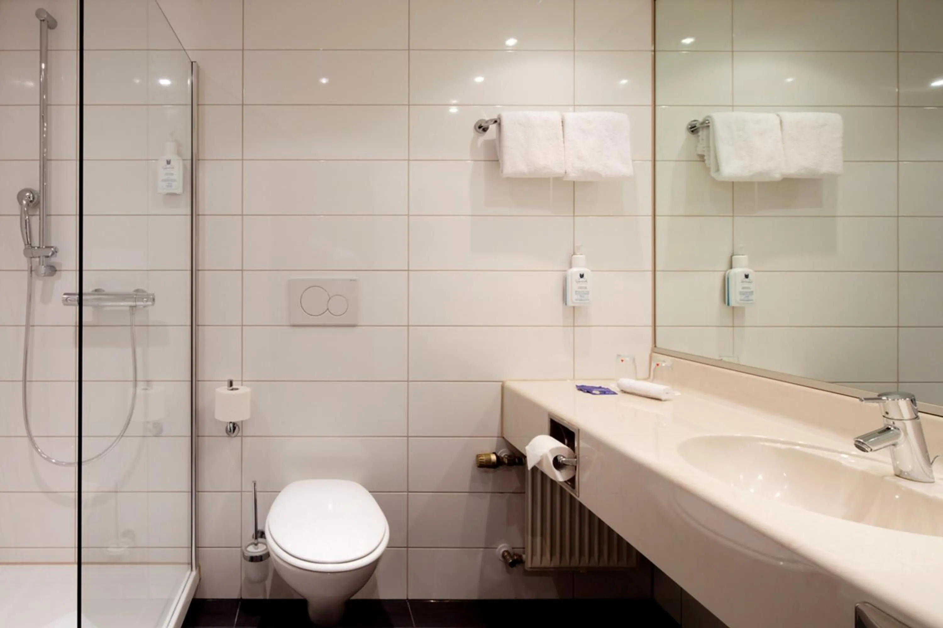 Bathroom in Erikson Hotel