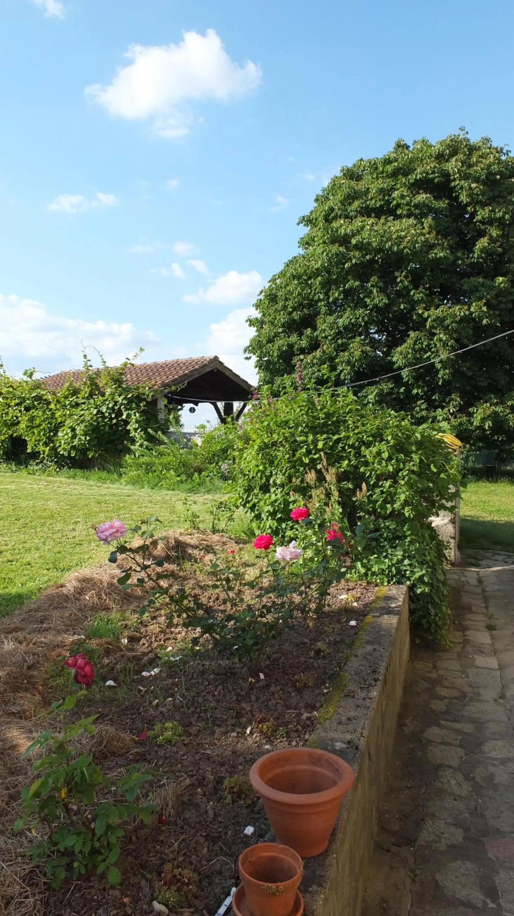 Garden in A L'Ombre Du Marronnier GITES