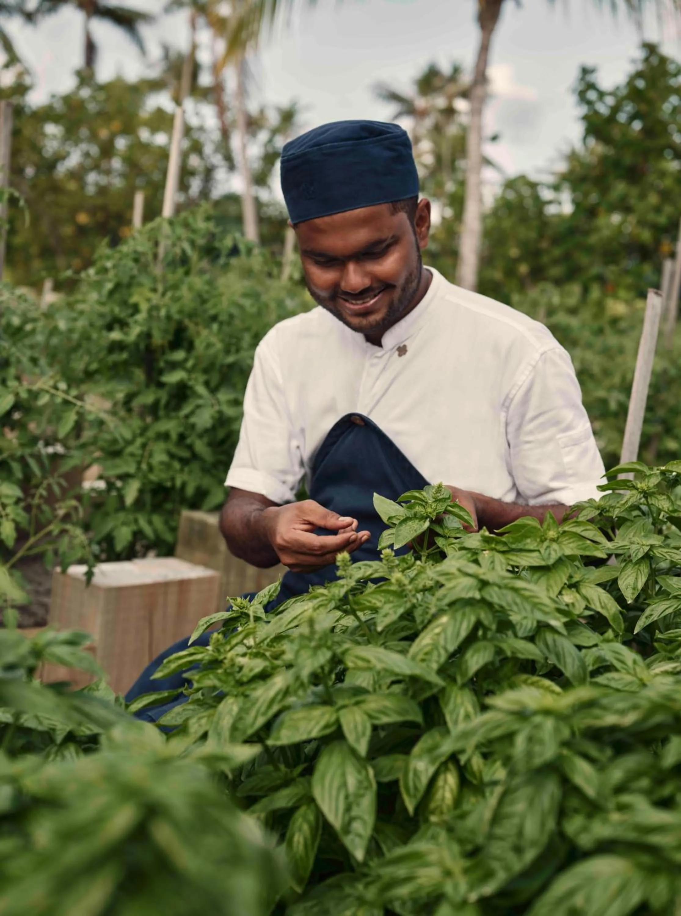 Garden in Patina Maldives, Fari Islands