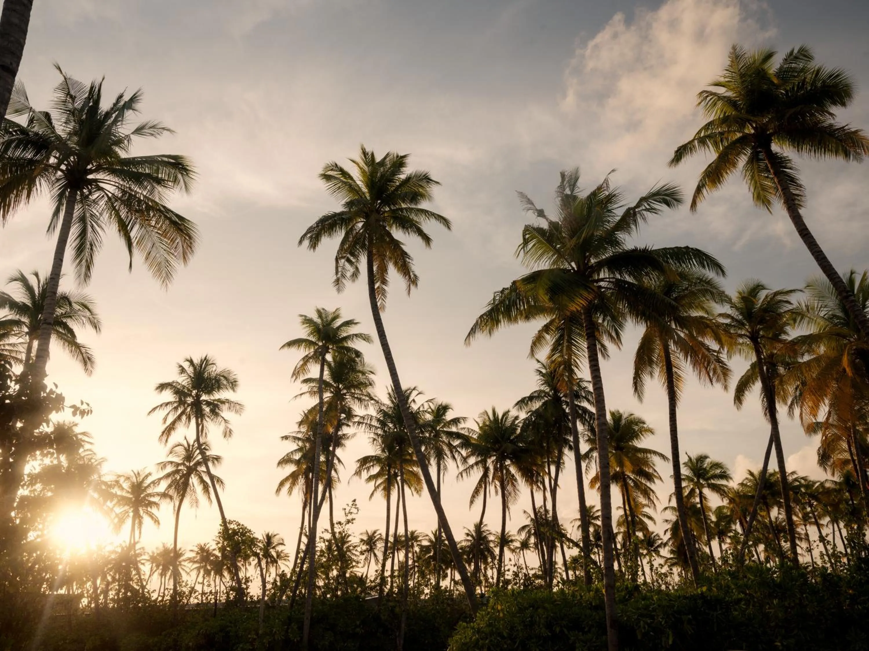 Spa and wellness centre/facilities in Patina Maldives, Fari Islands