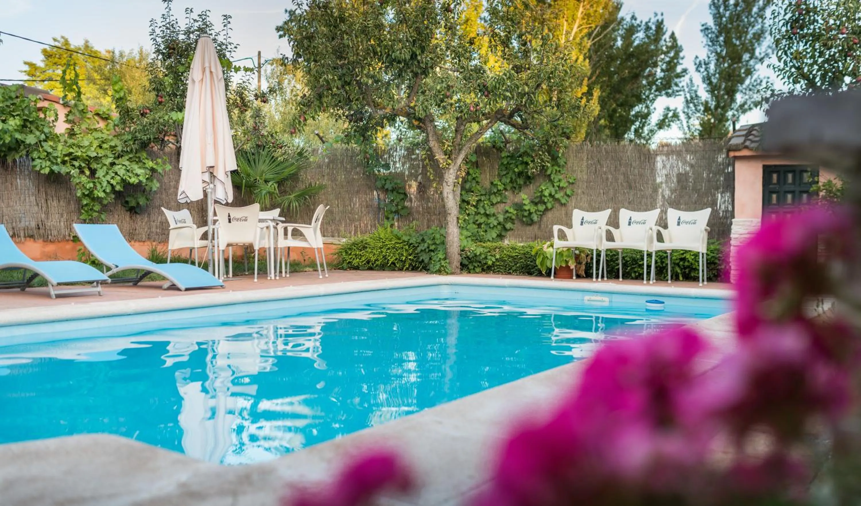 Swimming pool in Hostal Restaurante Rijujama