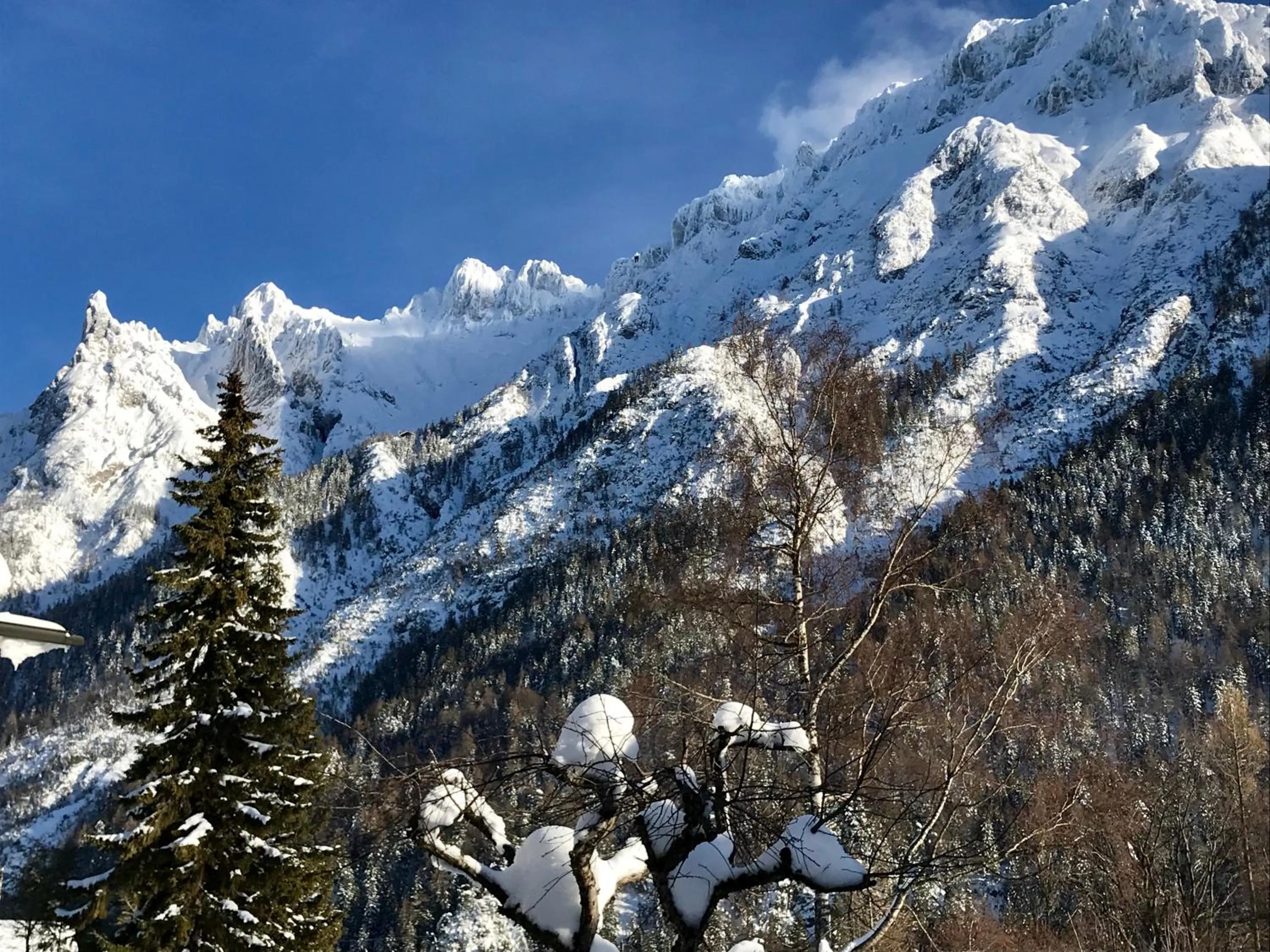Natural landscape in Gästehaus Edlhuber
