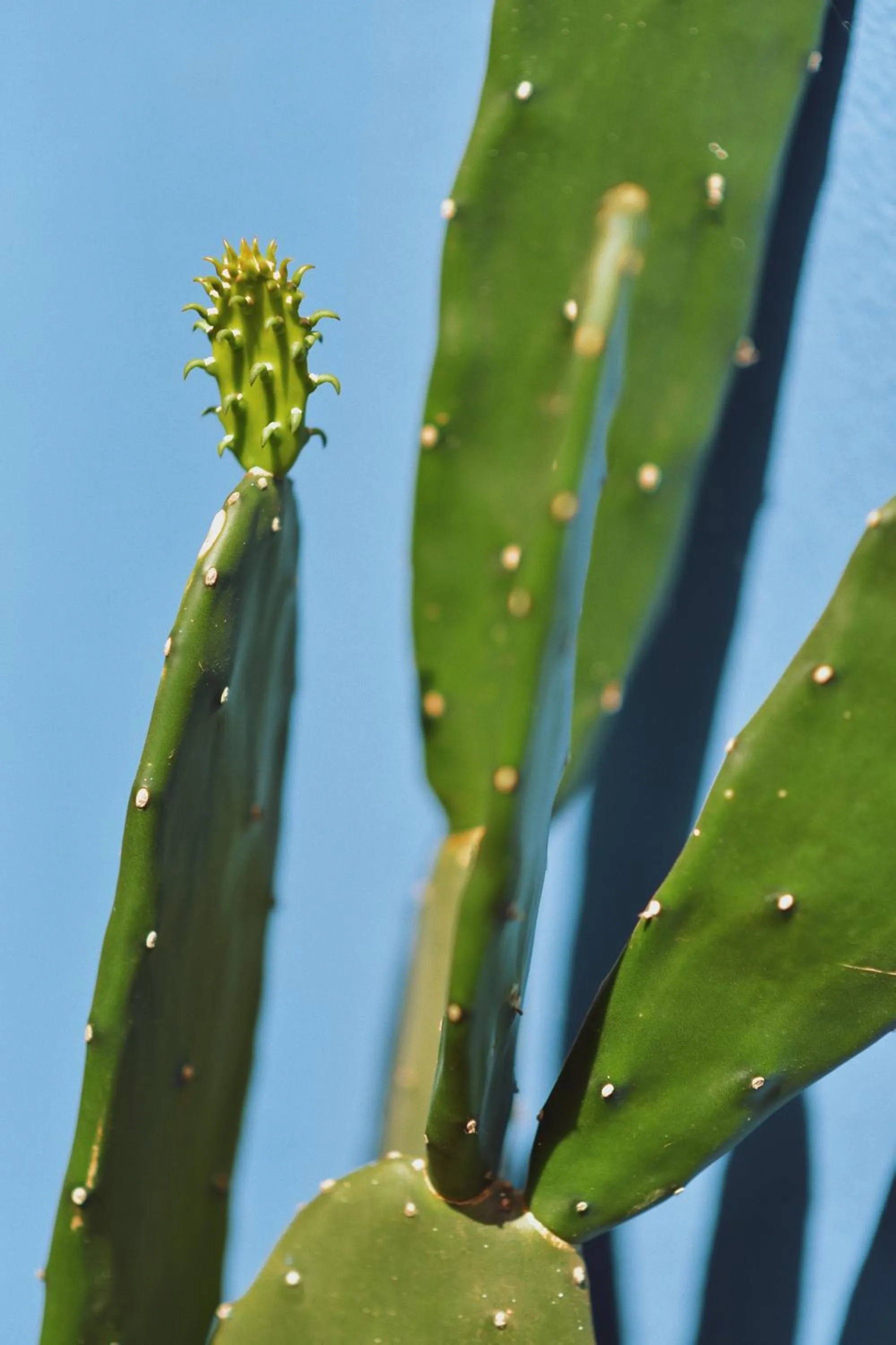 Vila das Ondas Caraíva