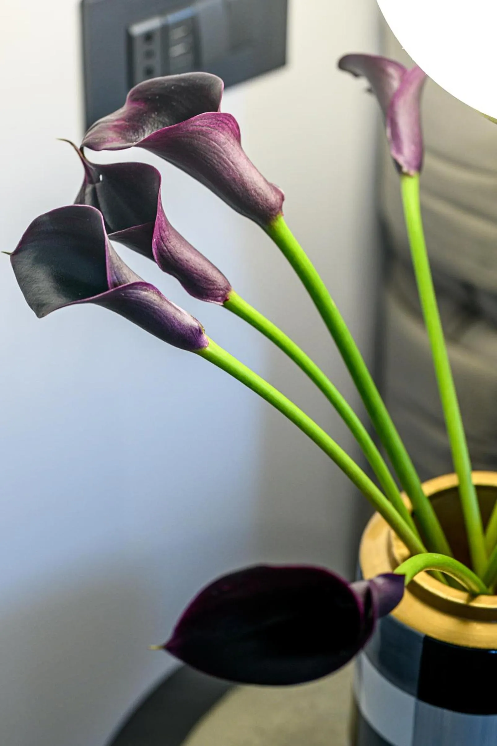 HOTEL BOUTIQUE DONNA ANNA