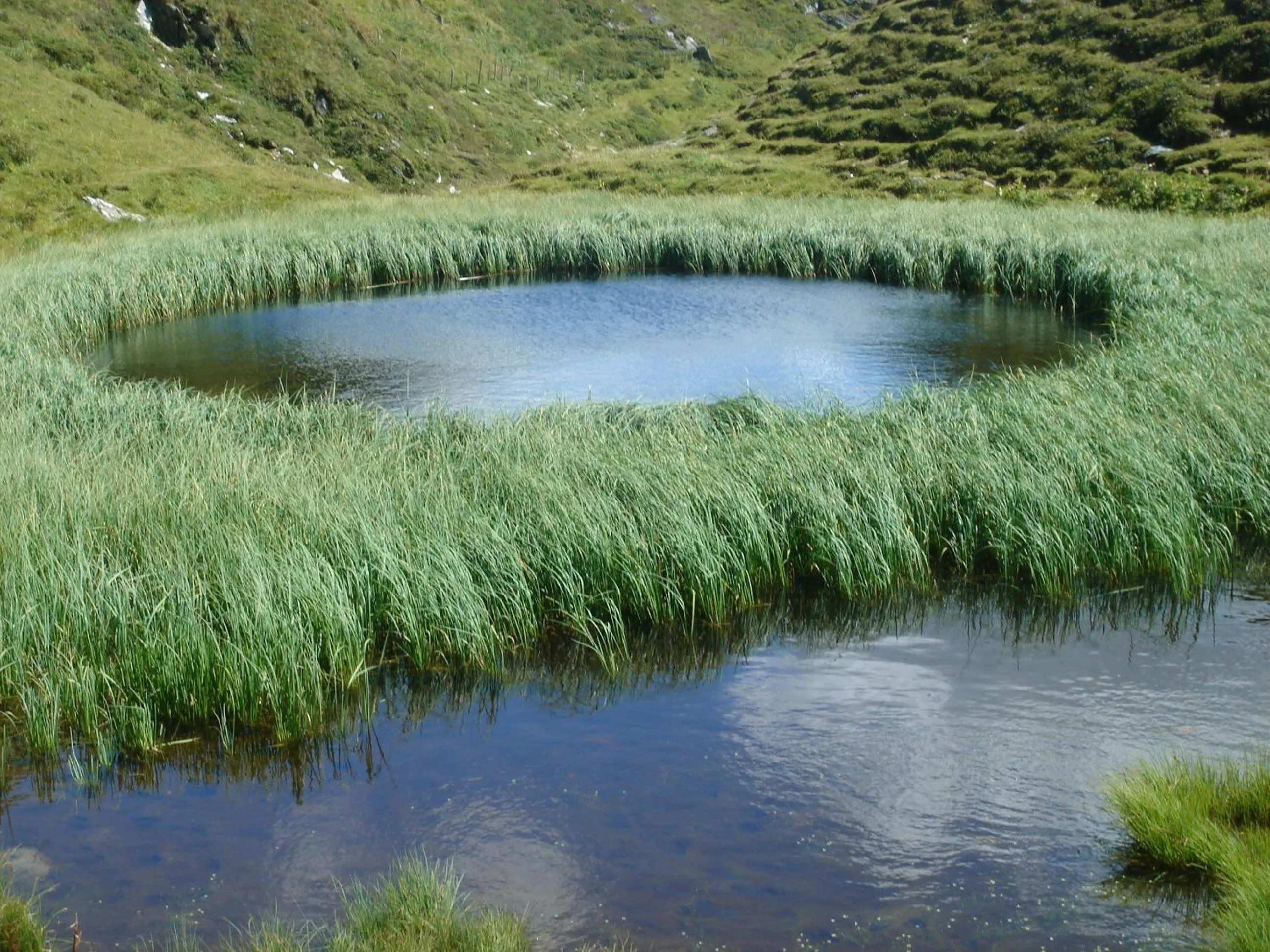 Natural landscape in Das Unterrain Lifestyle Hotel
