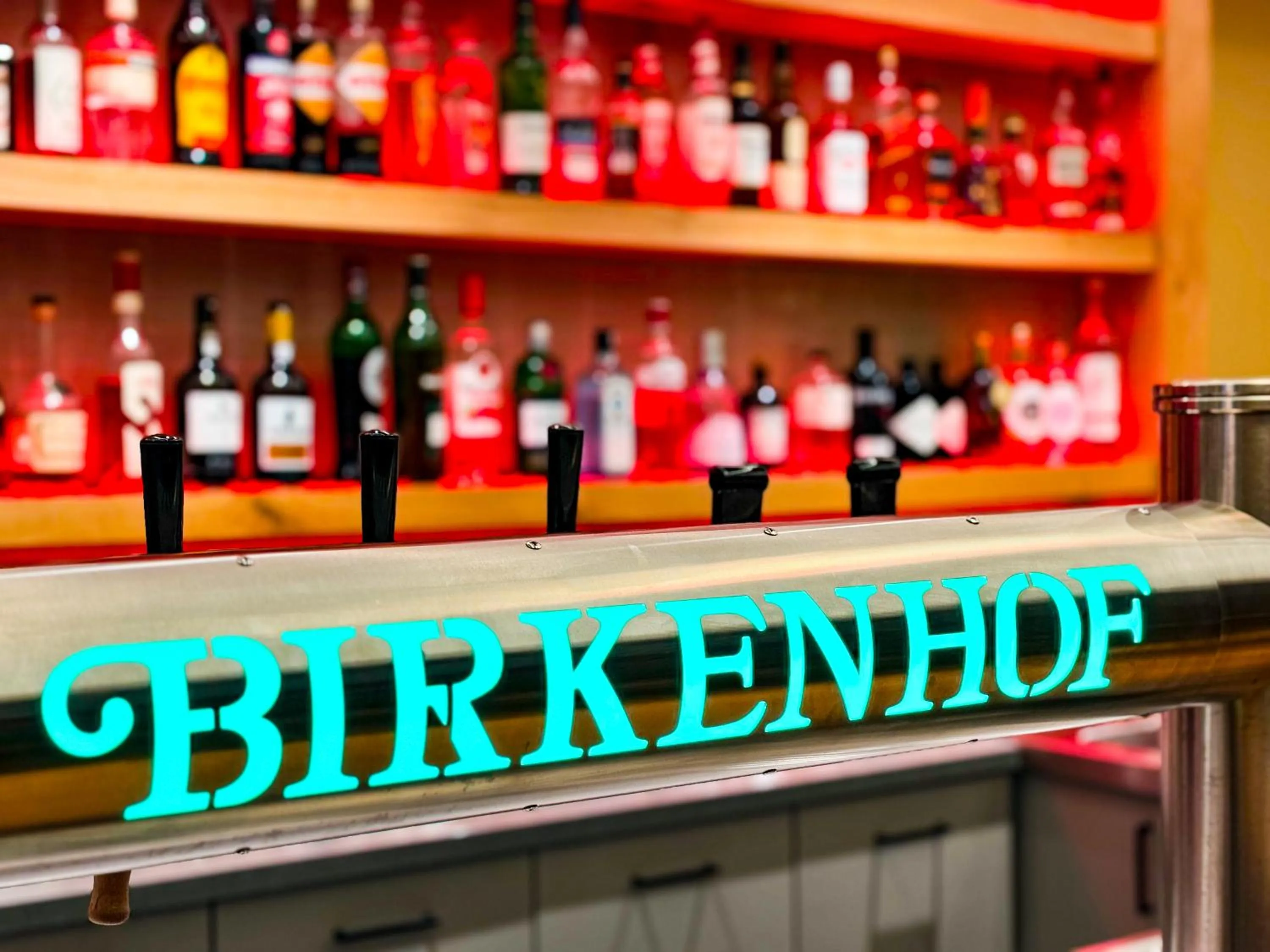 Lounge or bar in Hotel Birkenhof