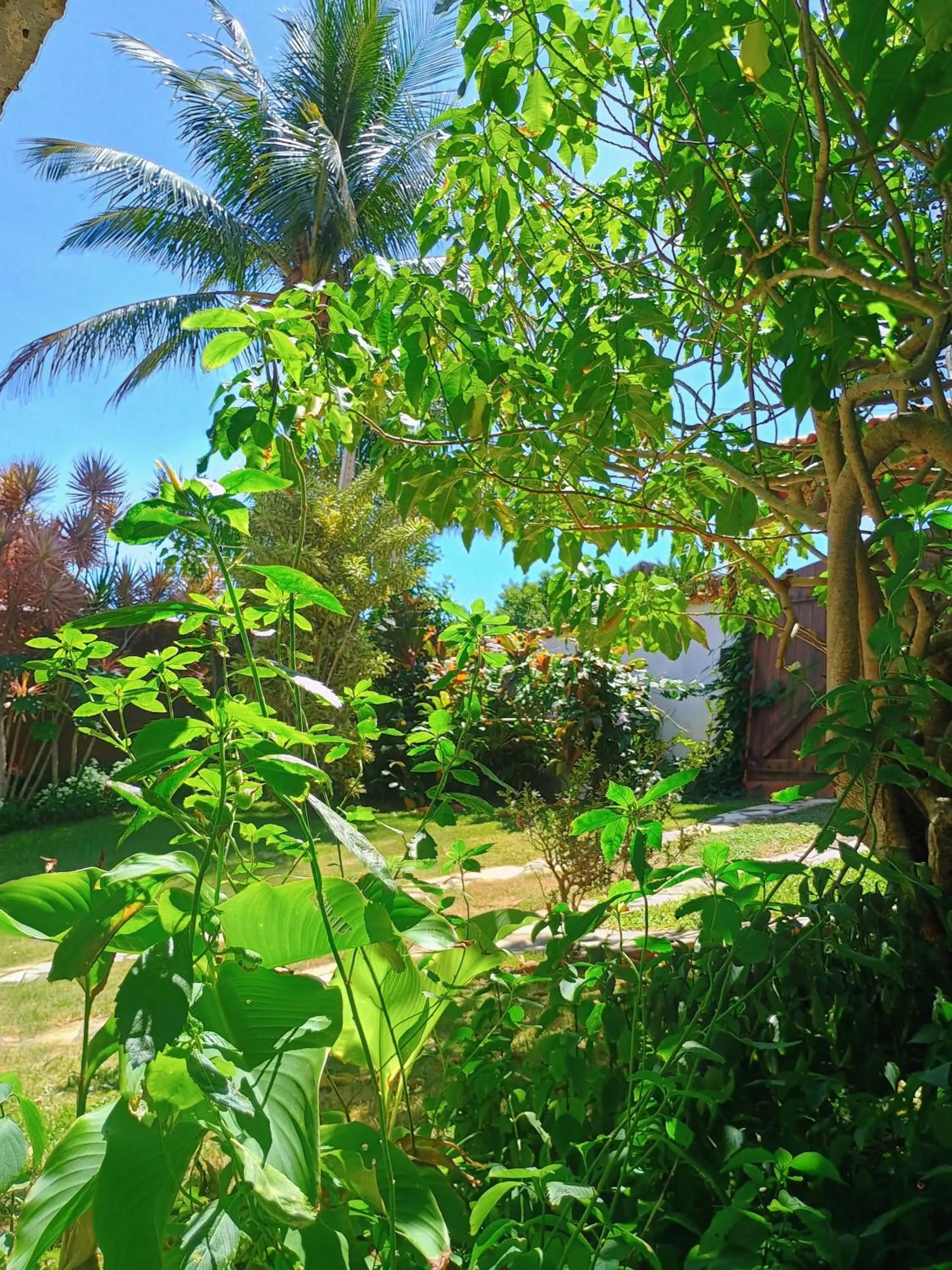 Natural landscape in Namorada Brava Guest House
