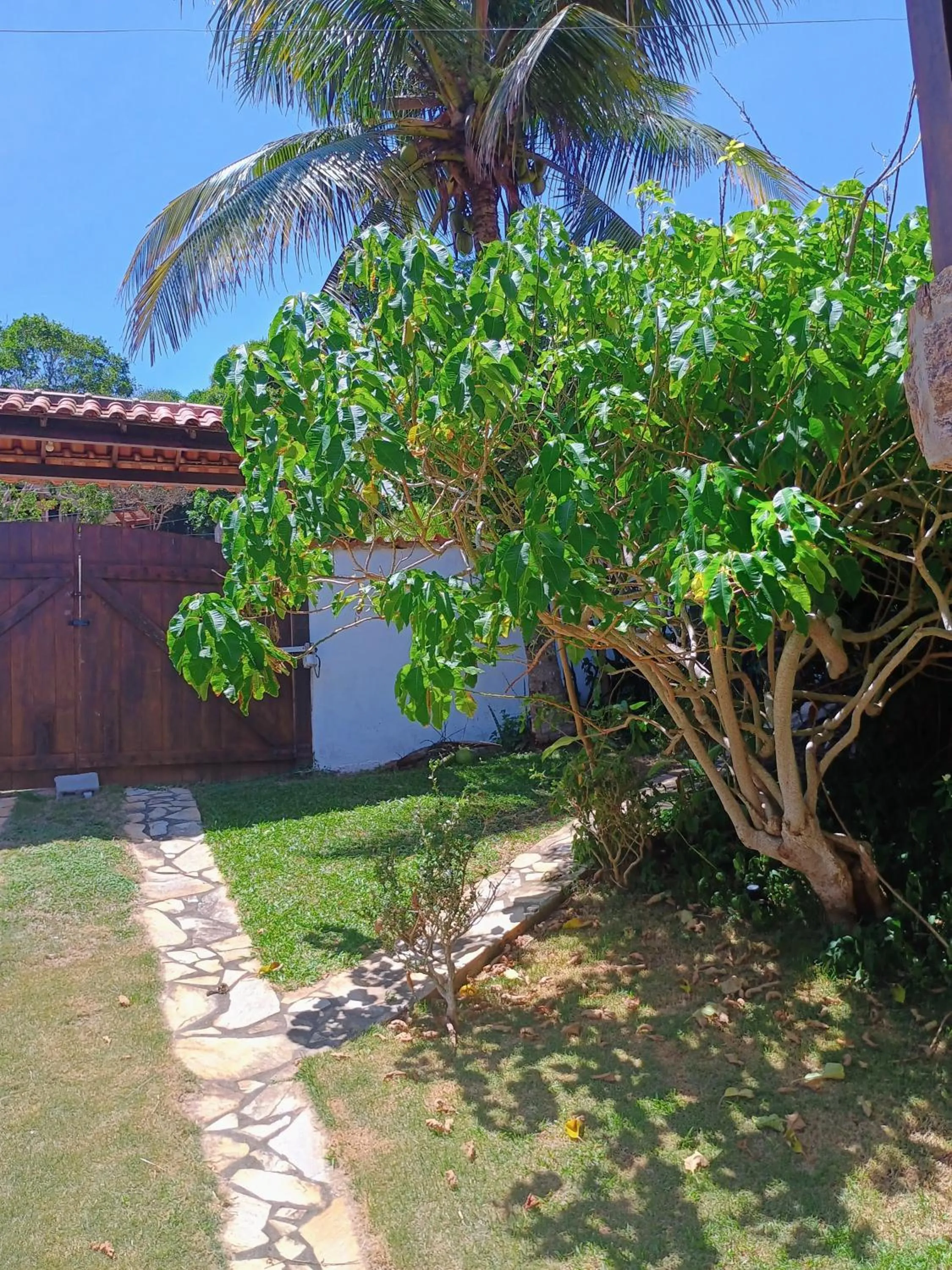 Garden in Namorada Brava Guest House