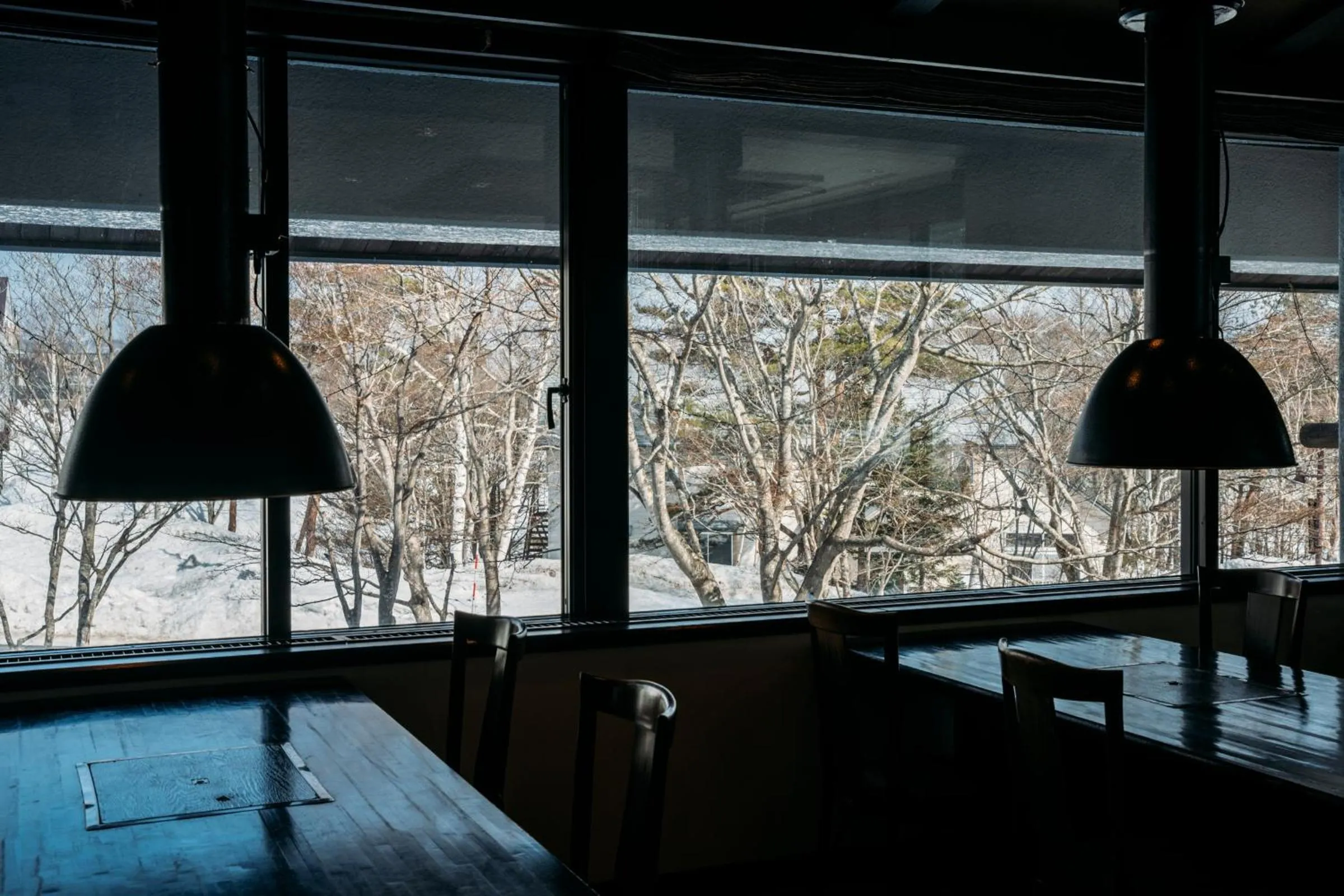 Winter in Appikogen Mori no Hotel