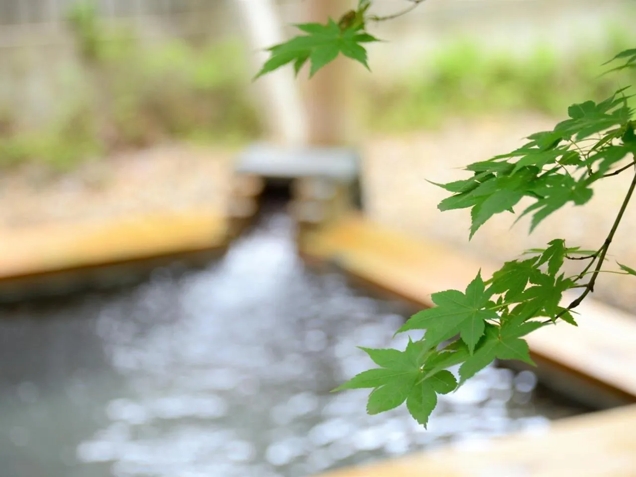 Hot Spring Bath in Appikogen Mori no Hotel