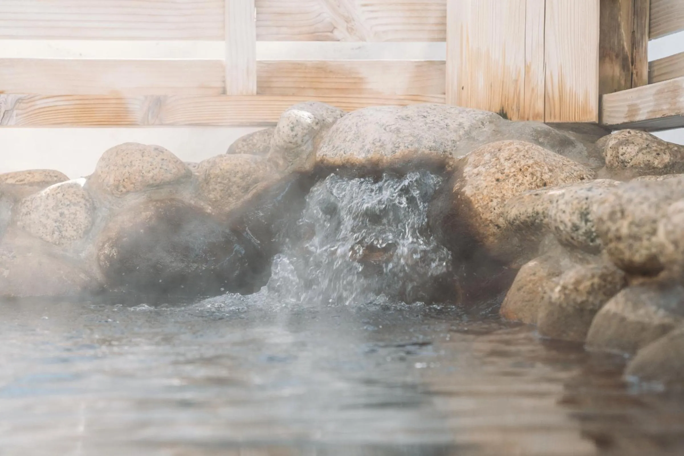 Hot Spring Bath in Appikogen Mori no Hotel