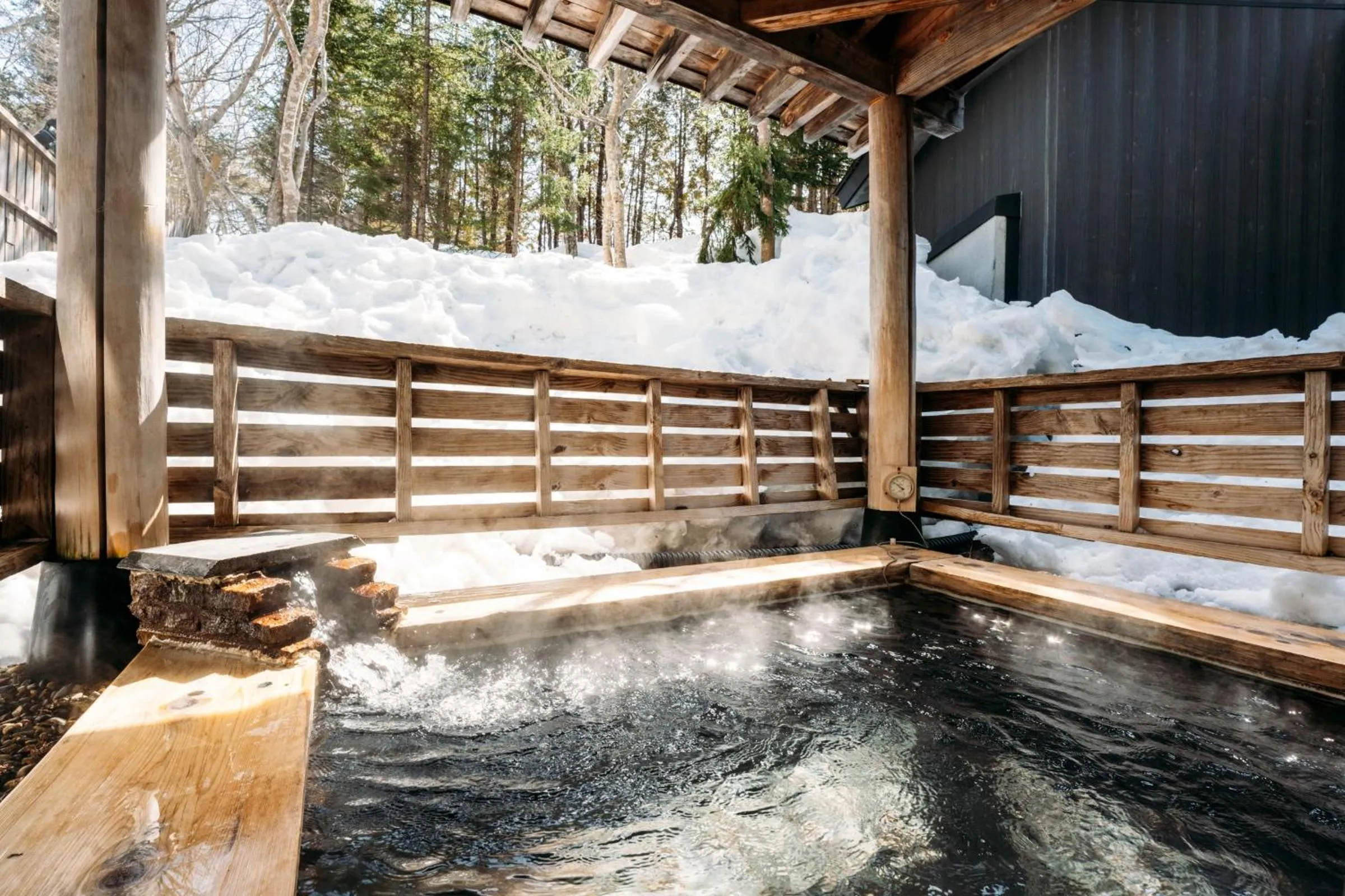 Hot Spring Bath in Appikogen Mori no Hotel
